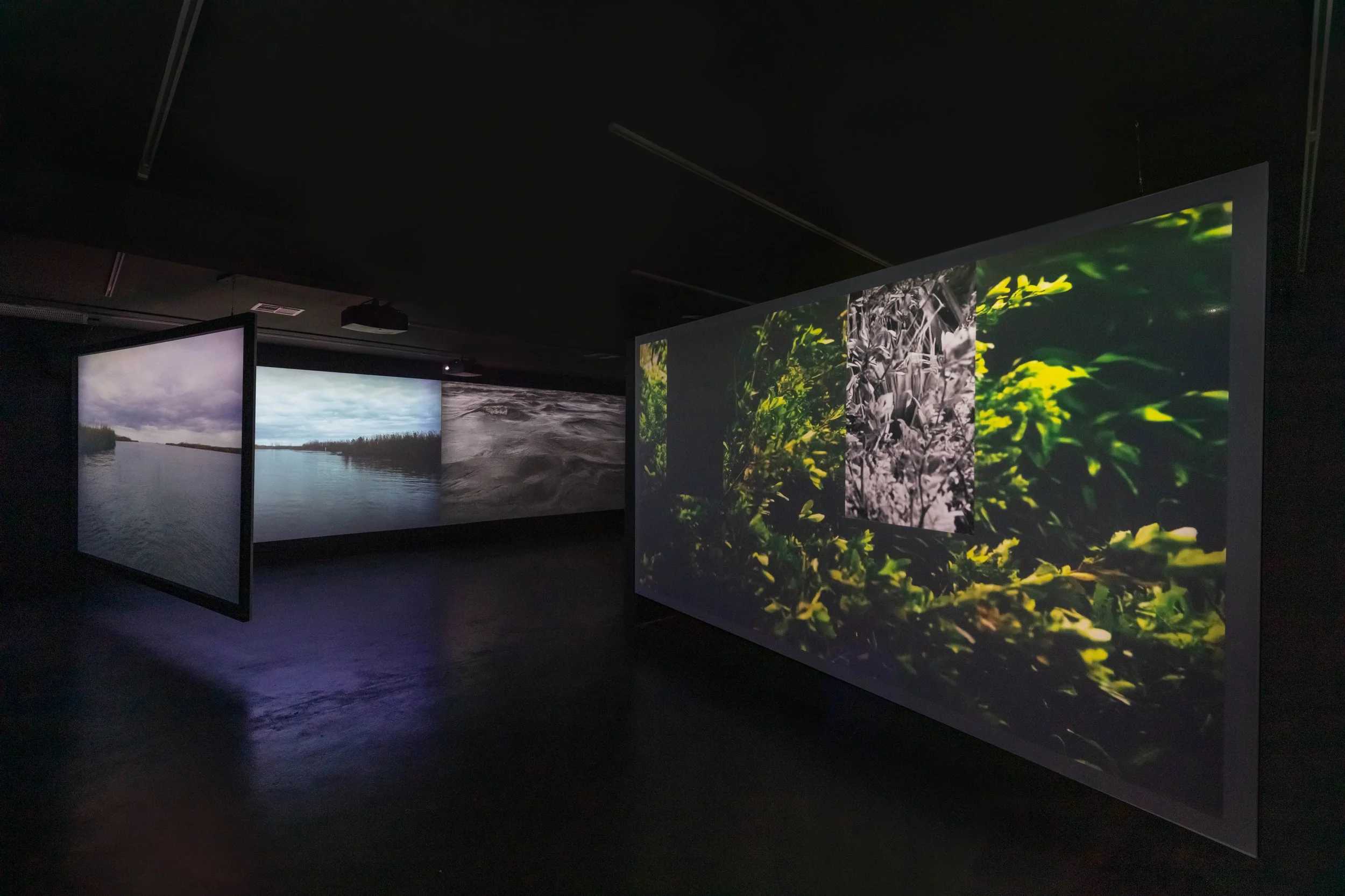 Deborah Jack 

a sea desalts, creeping in the collapse...in the expanse...a rhizome looks for reason...whispers an elegy instead, 2024
Six-channel video, color, sound, 8:45 min.; aluminum prints and vinyl