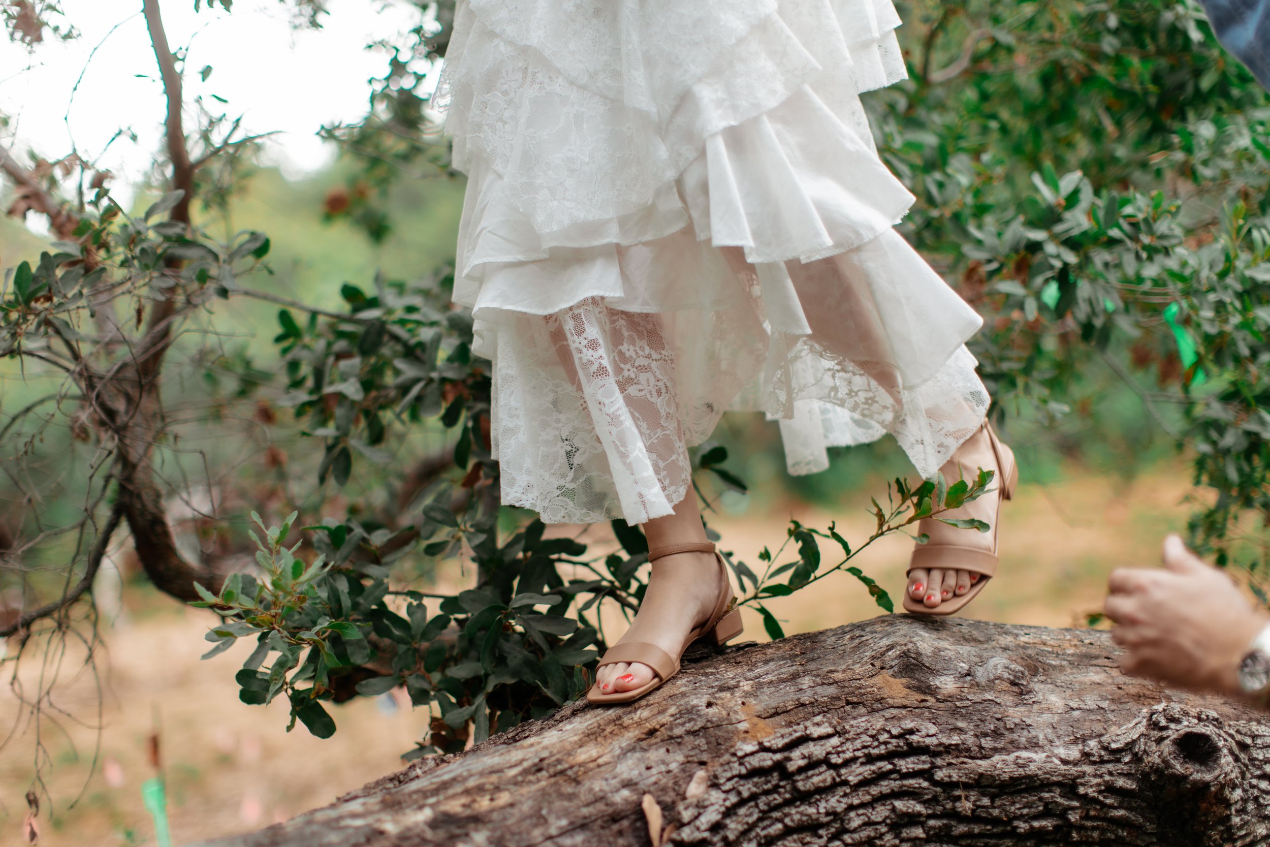 arboretum engagement photography (31).jpg