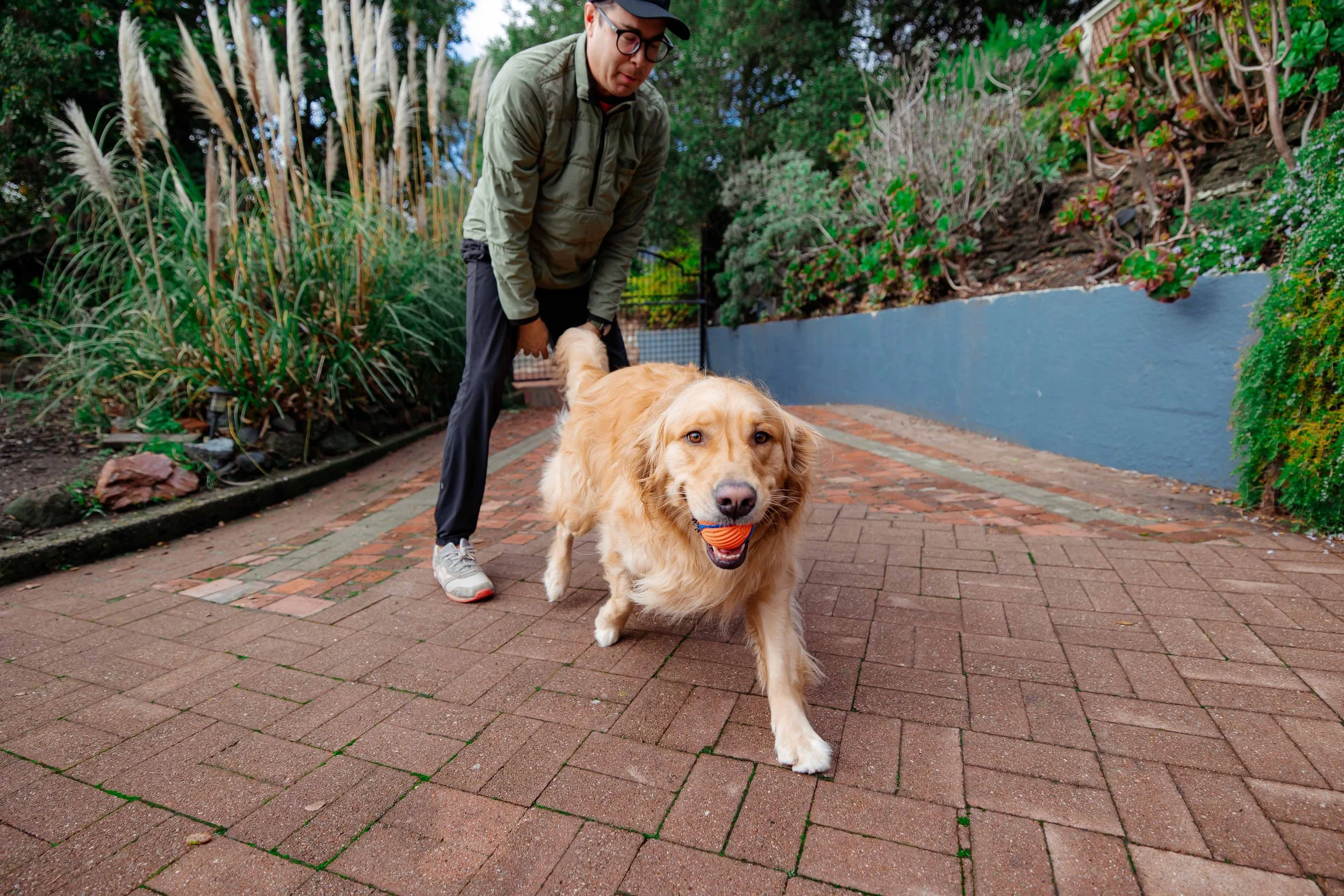 san francisco family photography (12).jpg