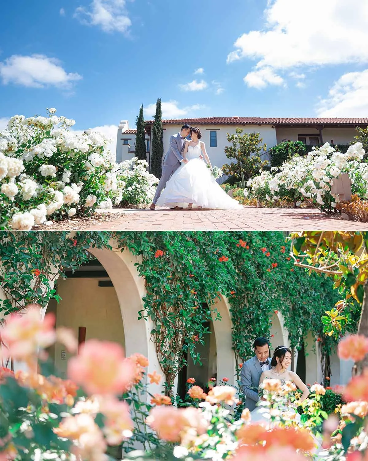 ponte winery wedding photography - blog (10).jpg