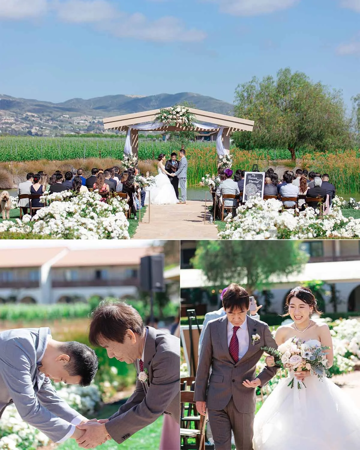 ponte winery wedding photography - blog (12).jpg