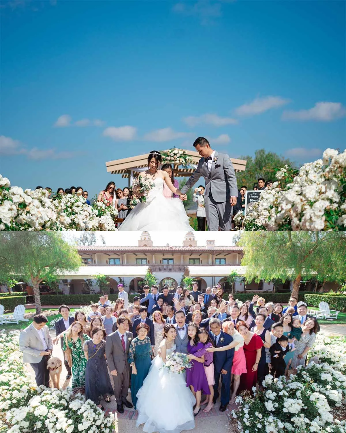 ponte winery wedding photography - blog (14).jpg