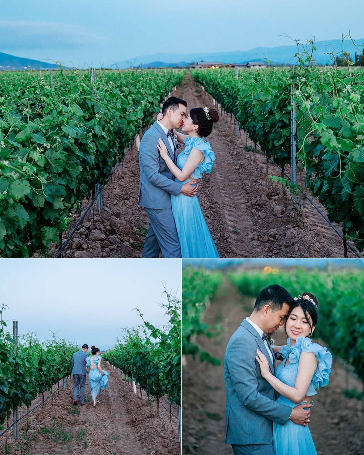 ponte winery wedding photography - blog (18).jpg