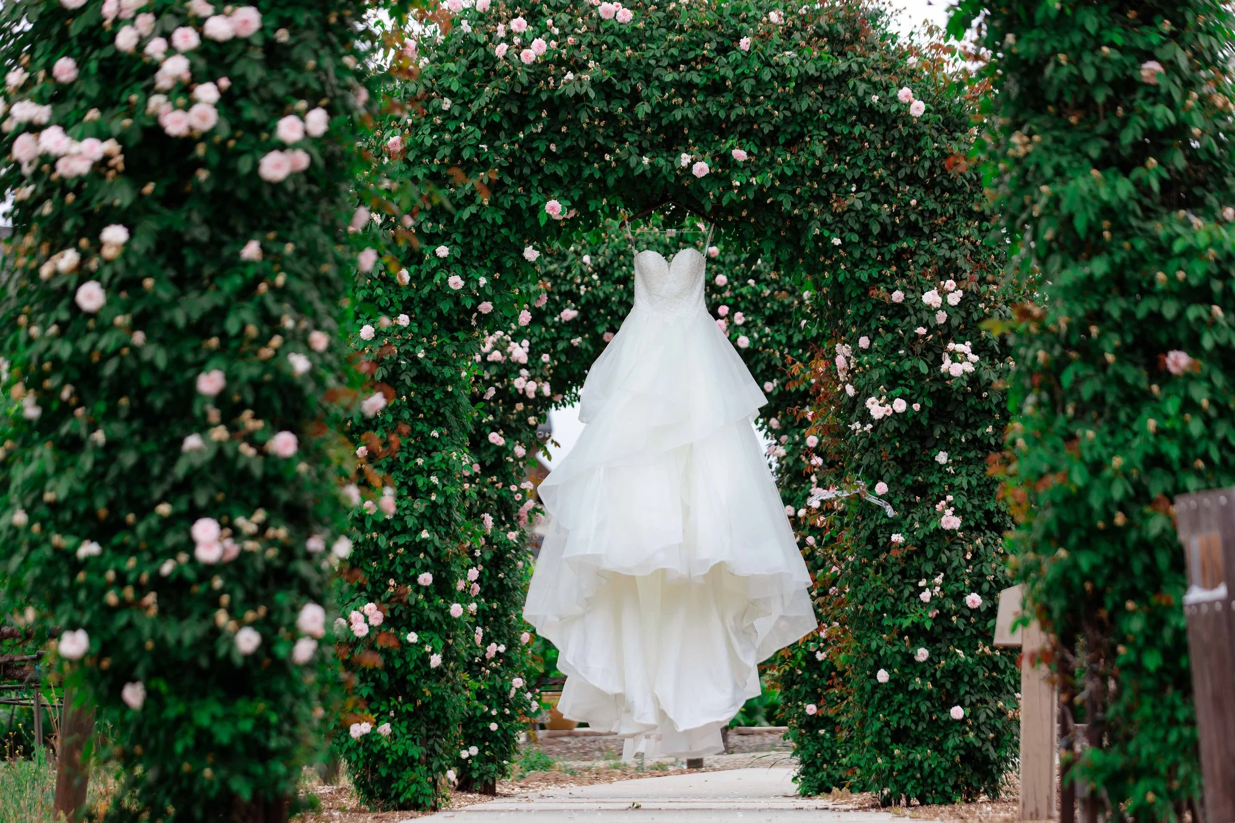 ponte winery wedding photography - blog (22).jpg