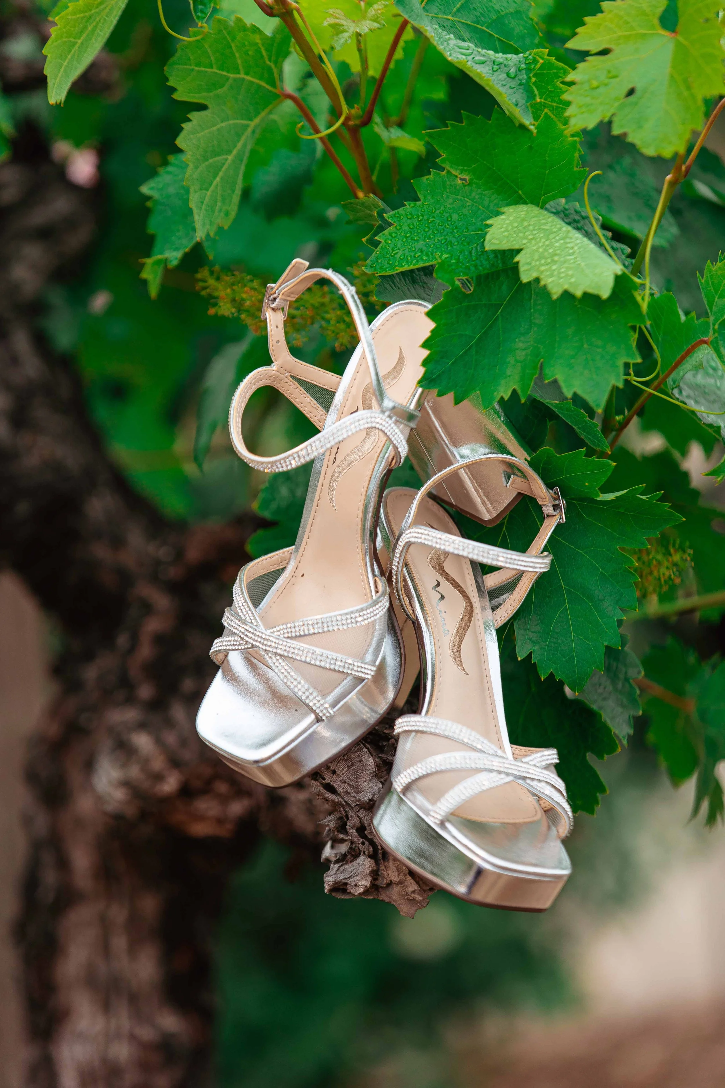 ponte winery wedding photography - blog (23).jpg