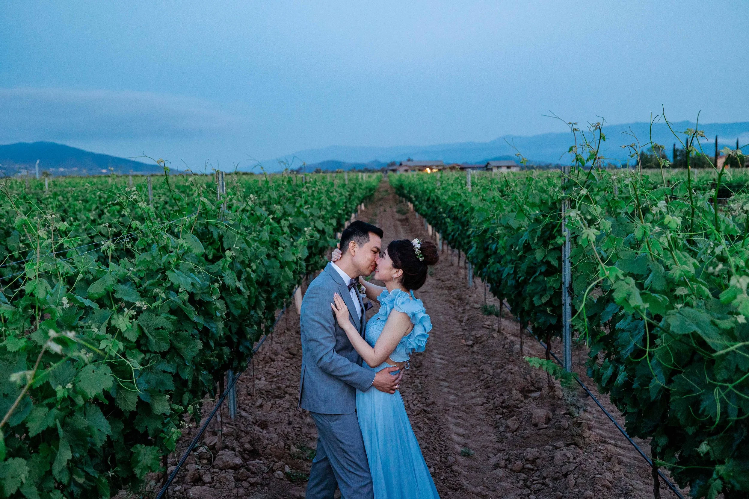ponte winery wedding photography - blog (65).jpg