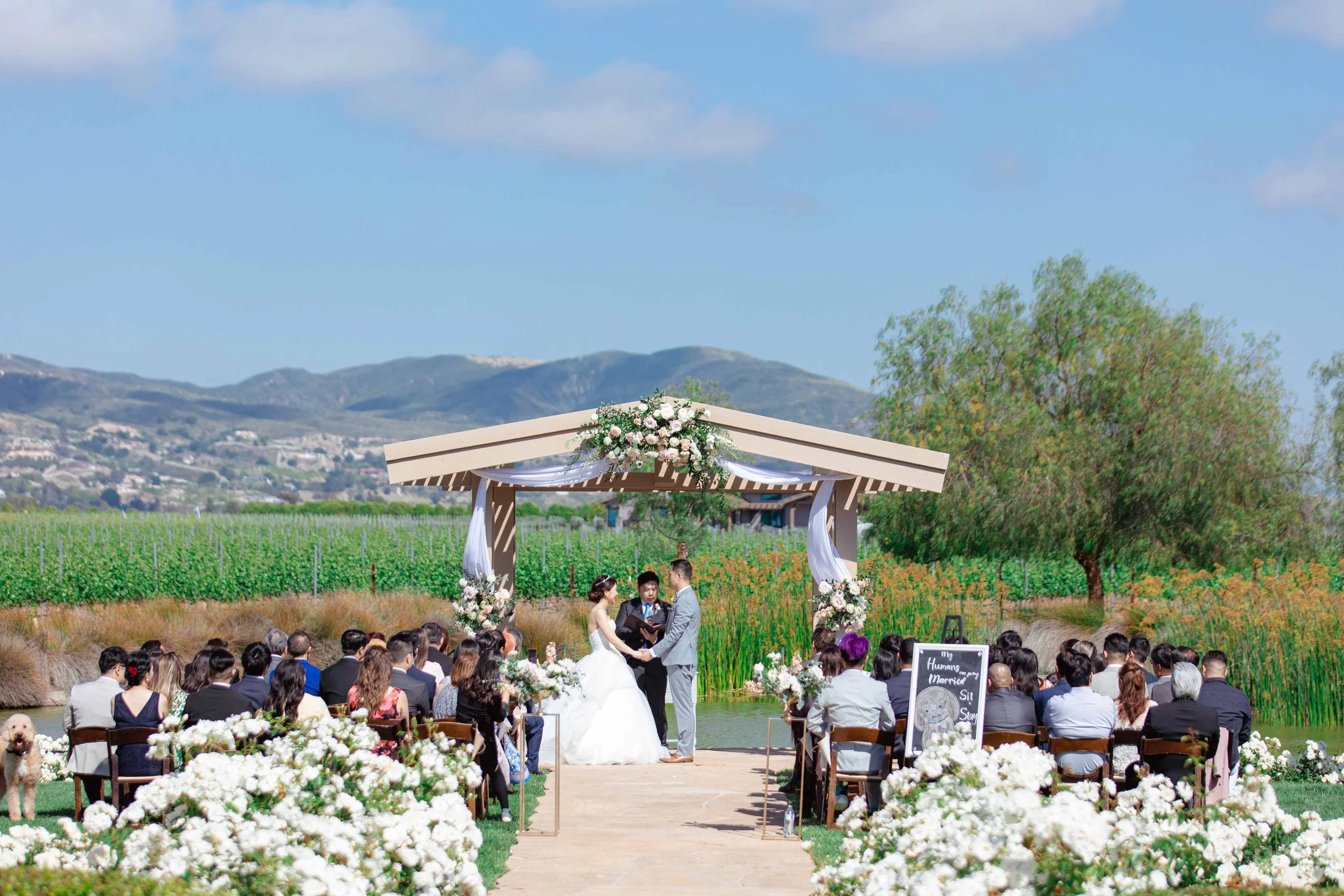 ponte winery wedding photography - subpage (48).jpg