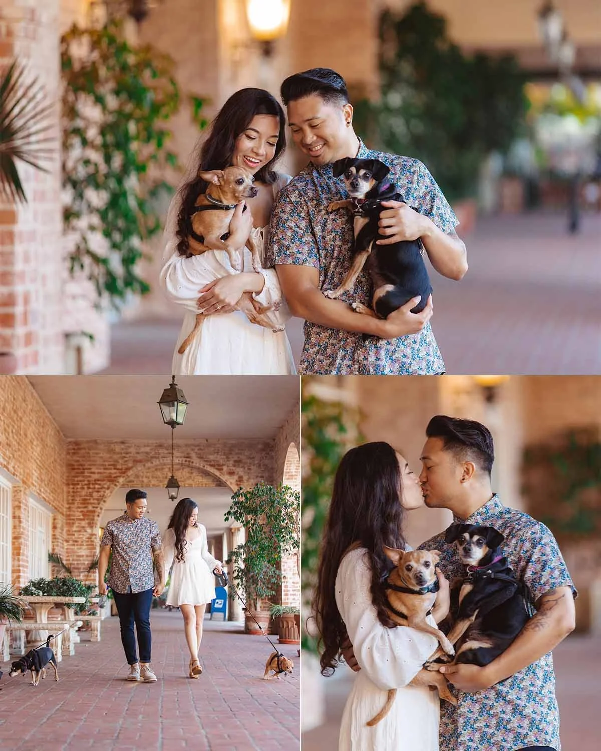 A young couple with two small dogs, one tan and one black, standing outside on a brick-paved walkway with brick arches and plants, sharing a kiss and walking their dogs.