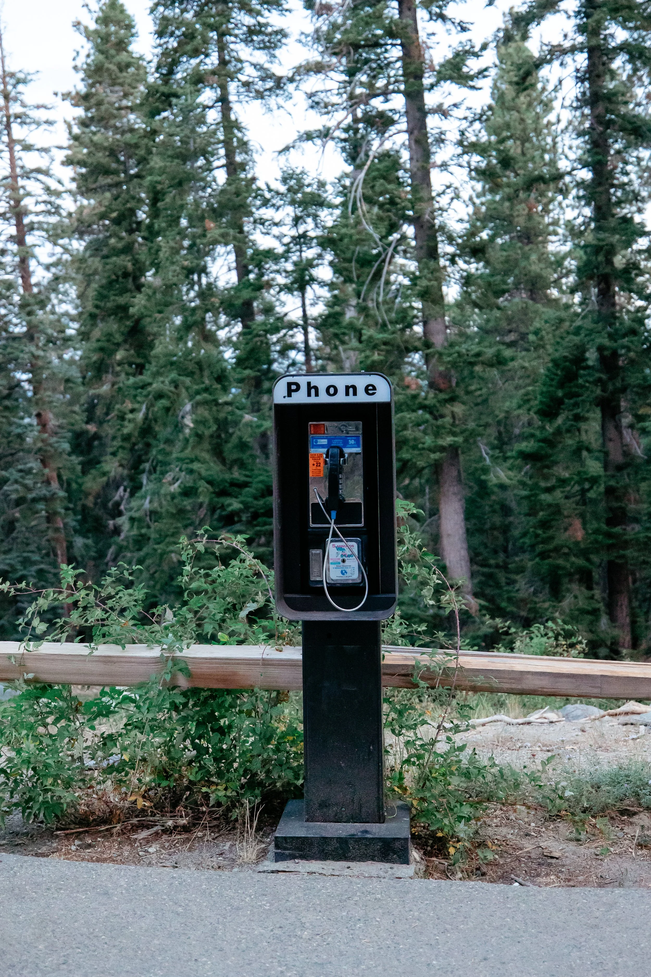 Yosemite Wedding Photography (12).jpg