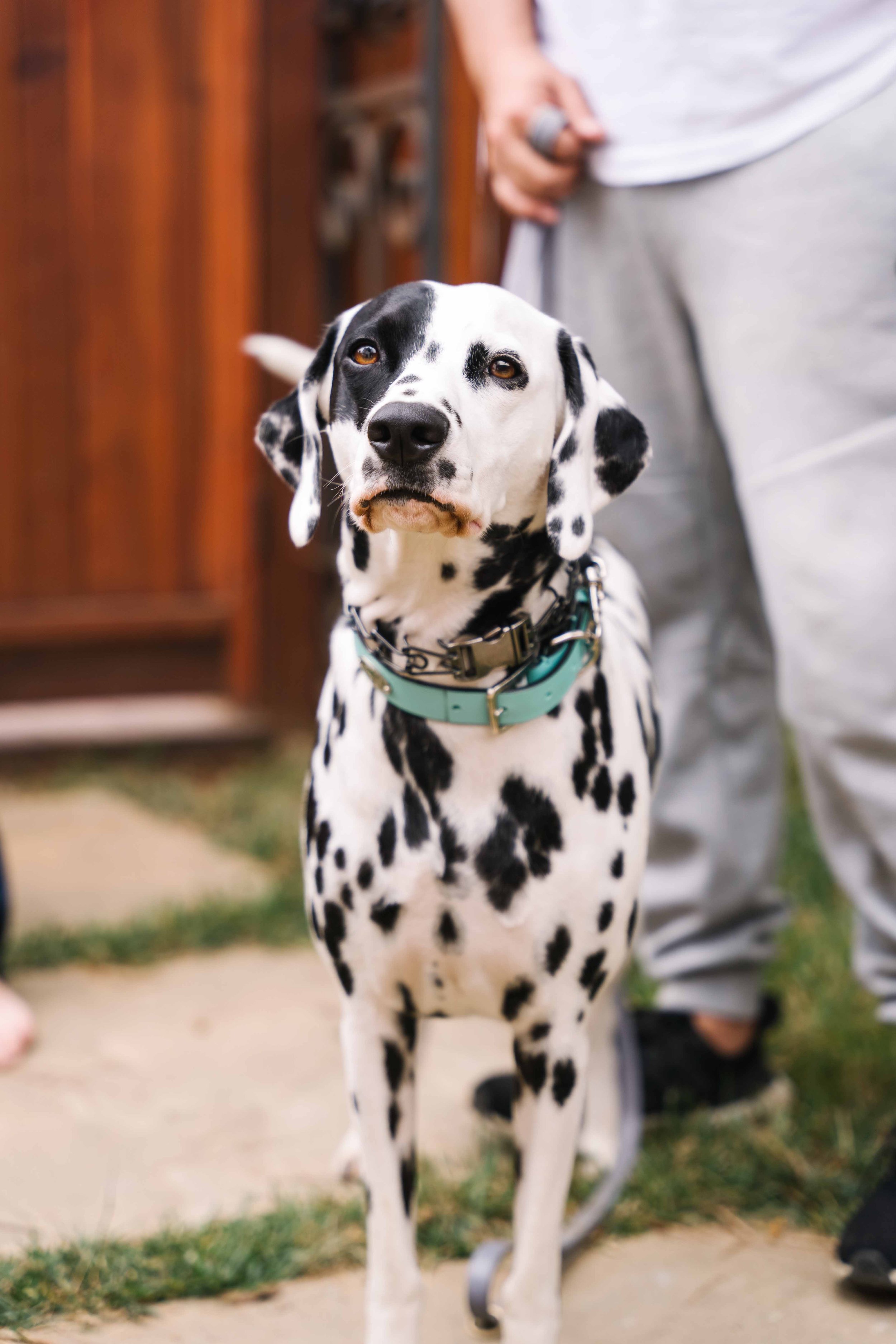 santa barbara wedding photography - subpage (4).jpg