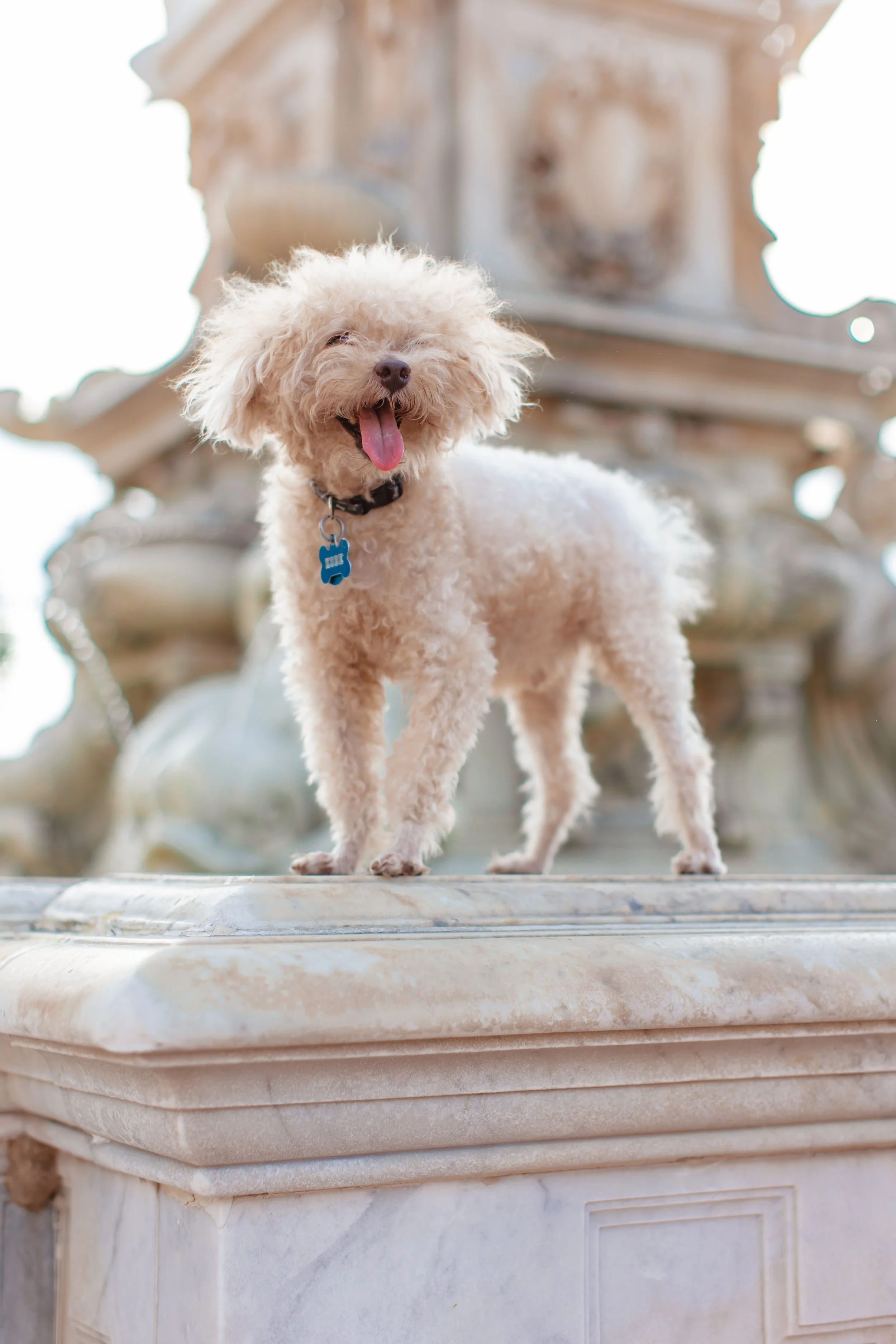 palos verdes maternity photography (11).jpg