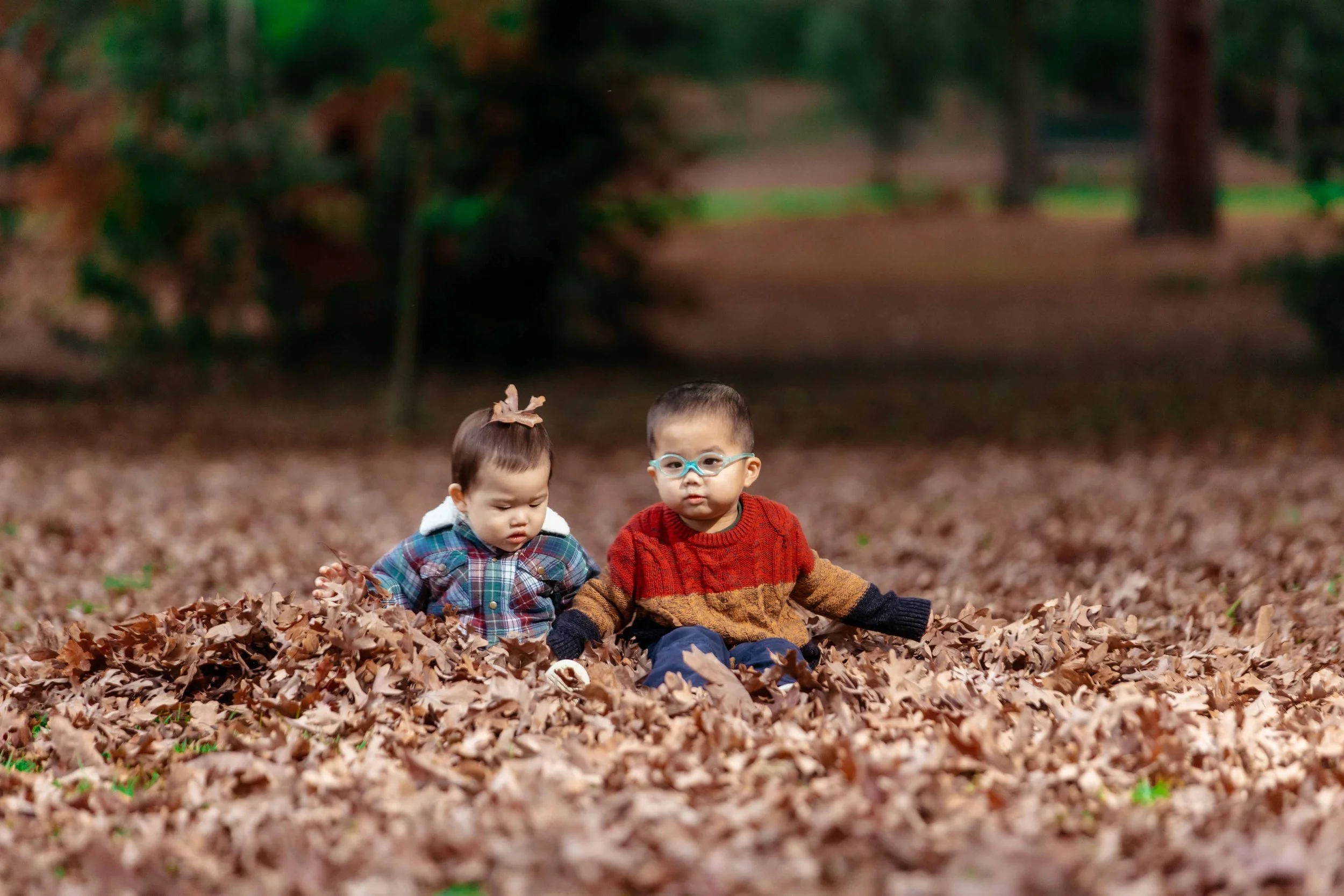 Two young children sitting on the ground covered with fallen autumn leaves in a park with trees in the background.