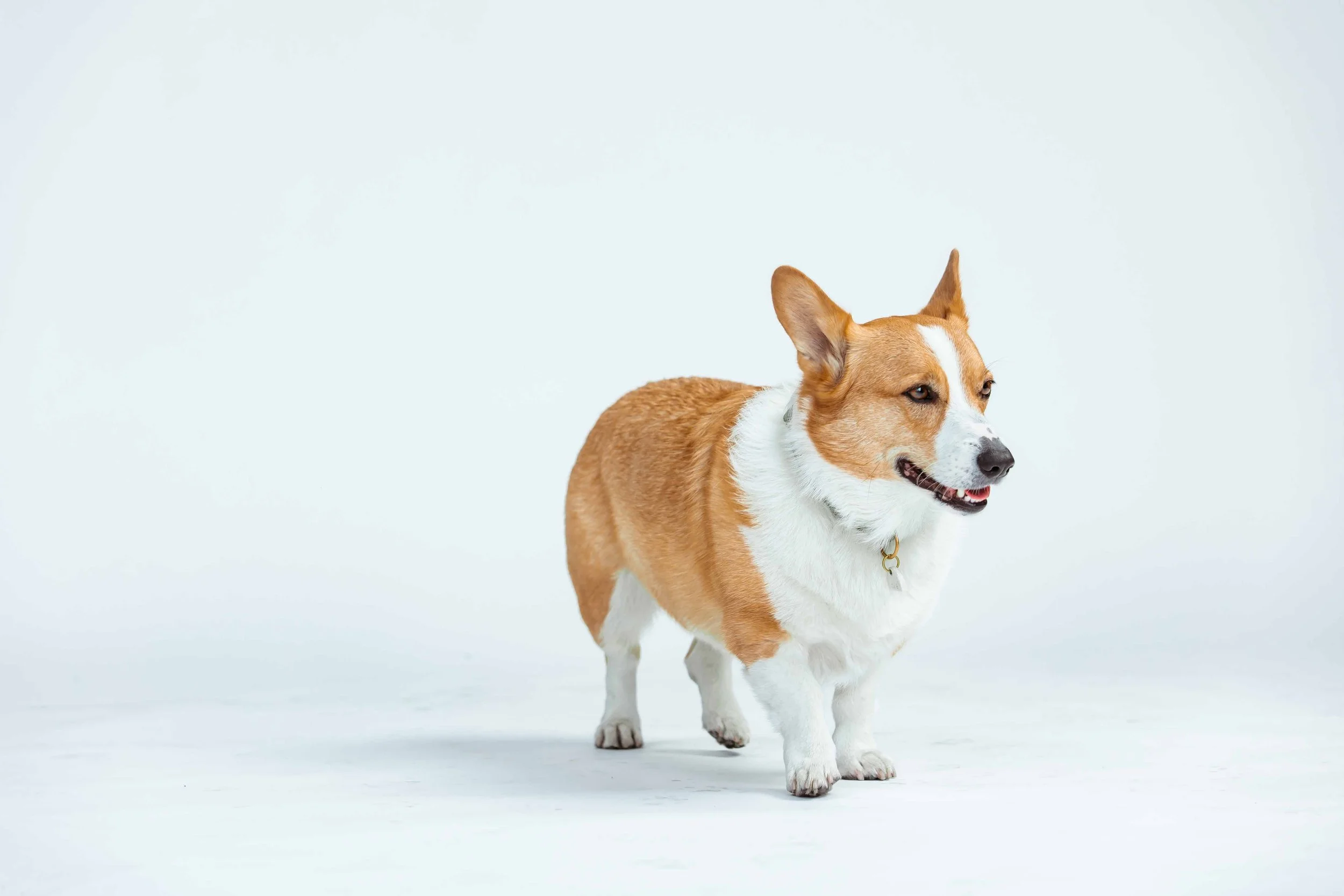 studio family portraits - subpage (12).jpg