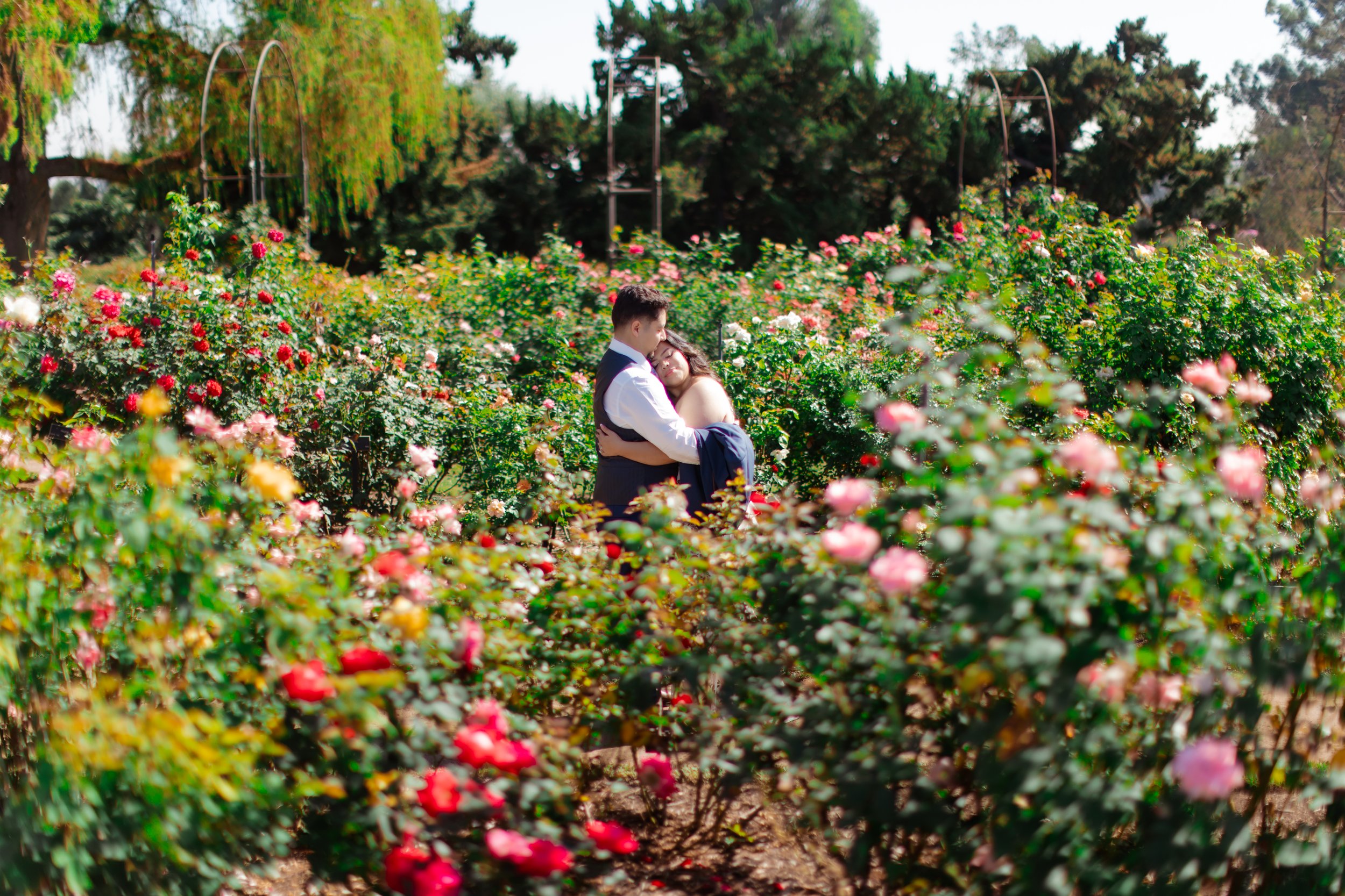 huntington library engagement photographers (26).jpg