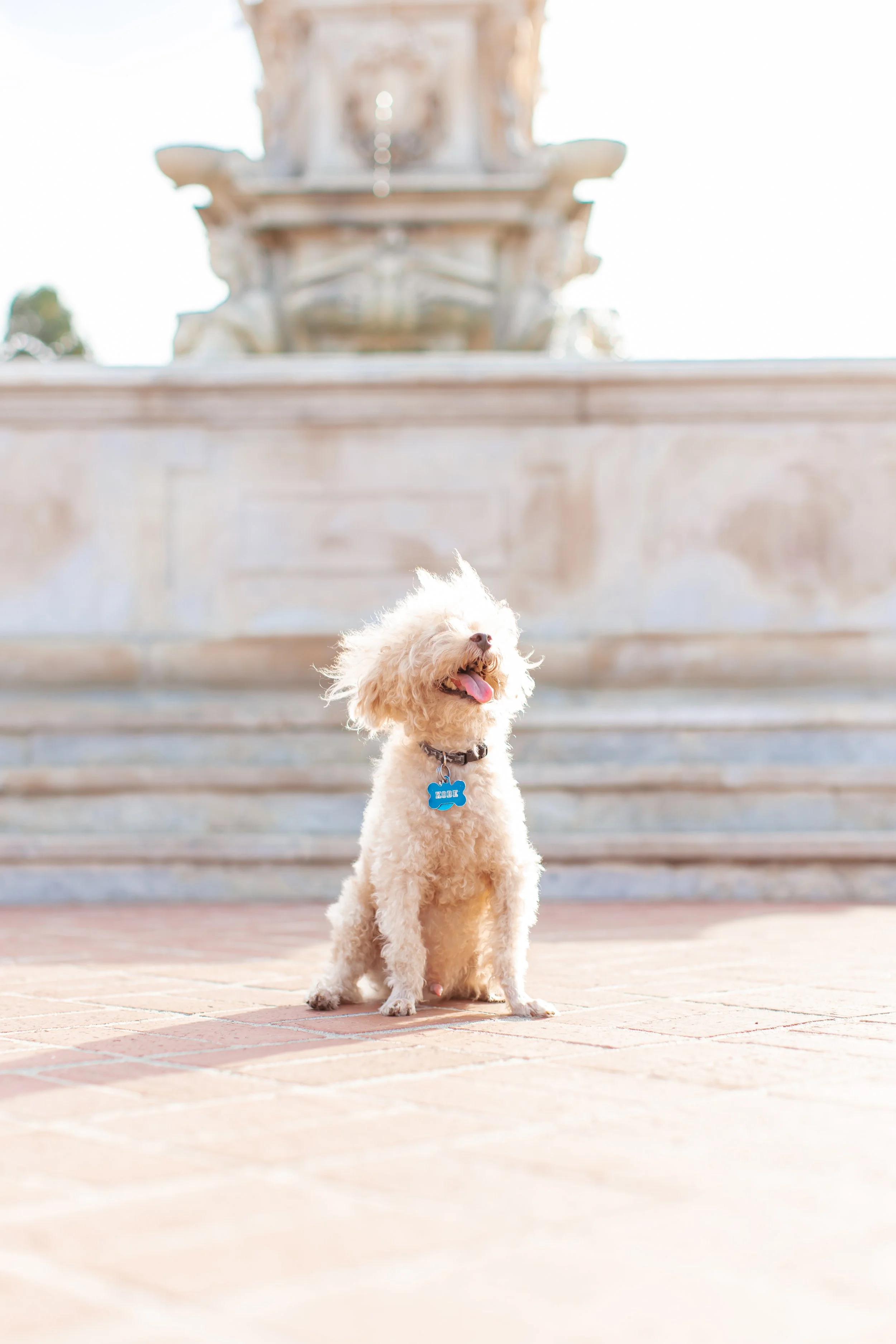 palos verdes maternity photography (10).jpg