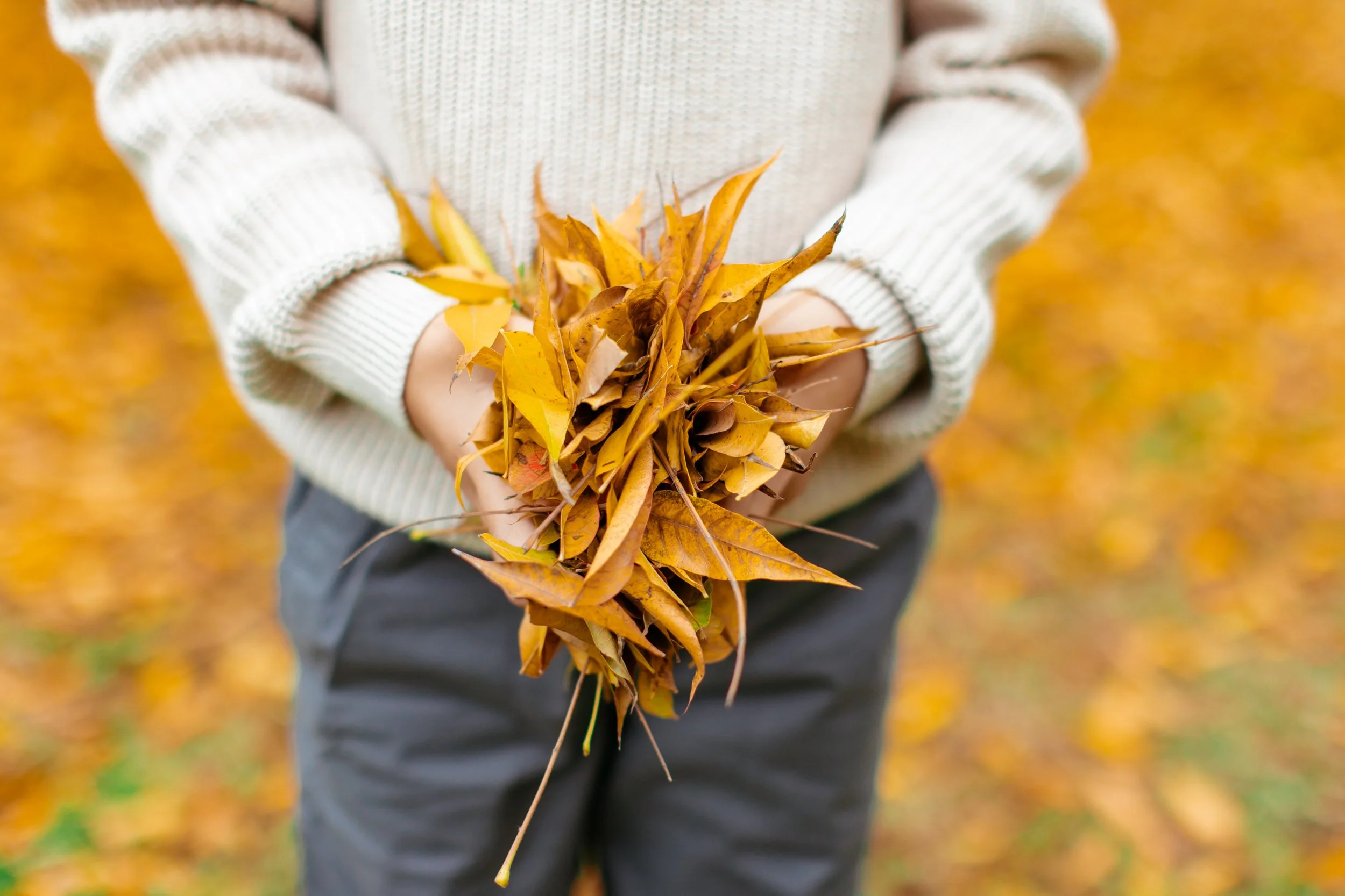 lacy park family photography (9).jpg