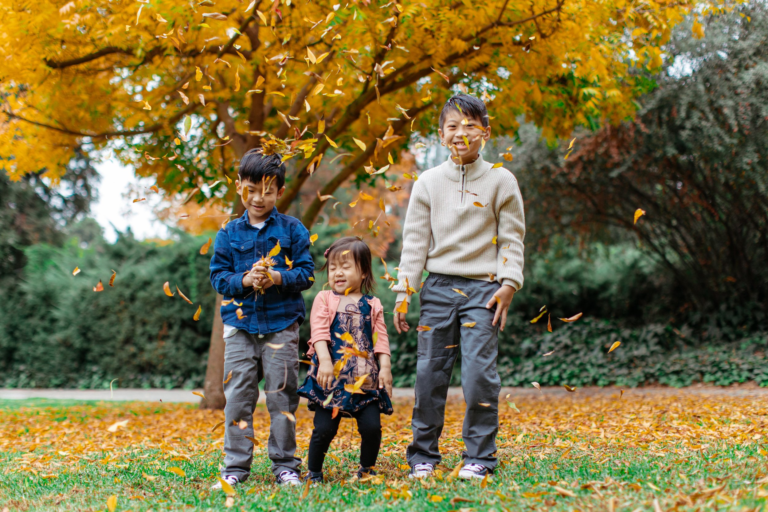 lacy park family photography (11).jpg