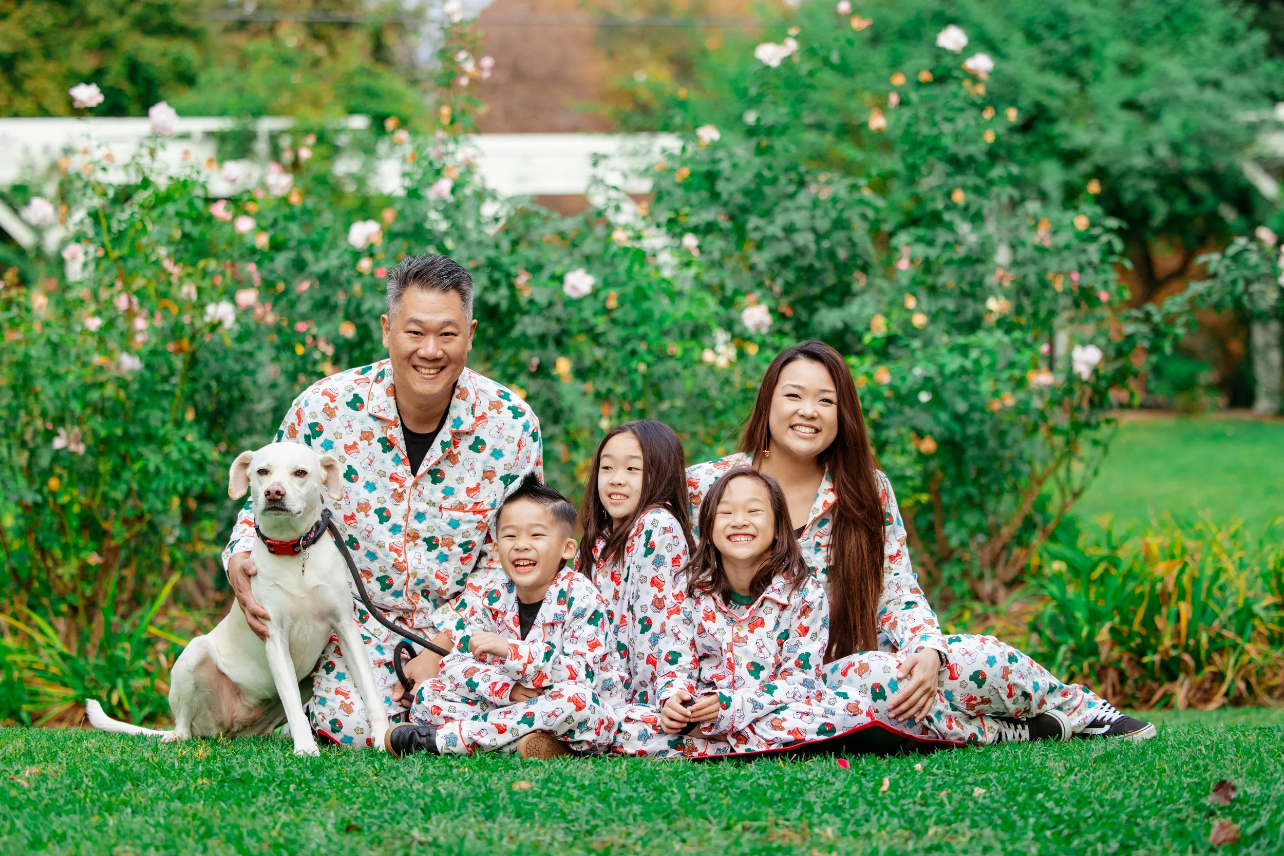 lacy park family photographers (15).jpg