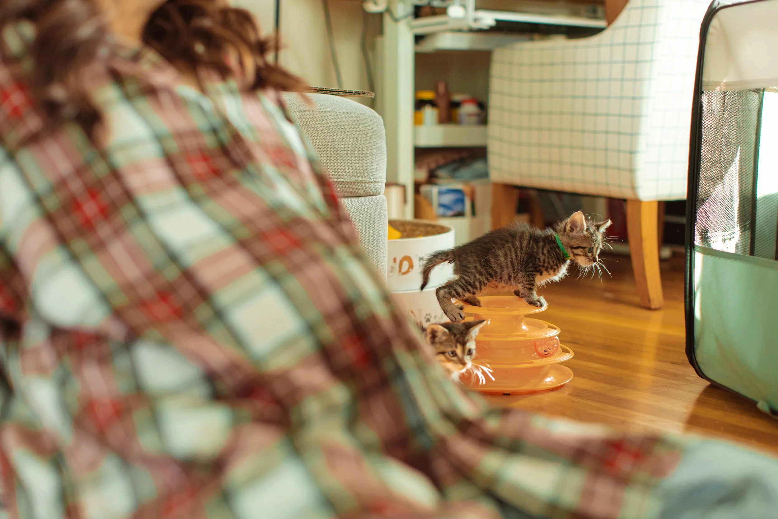 pasadena maternity photography (4).jpg