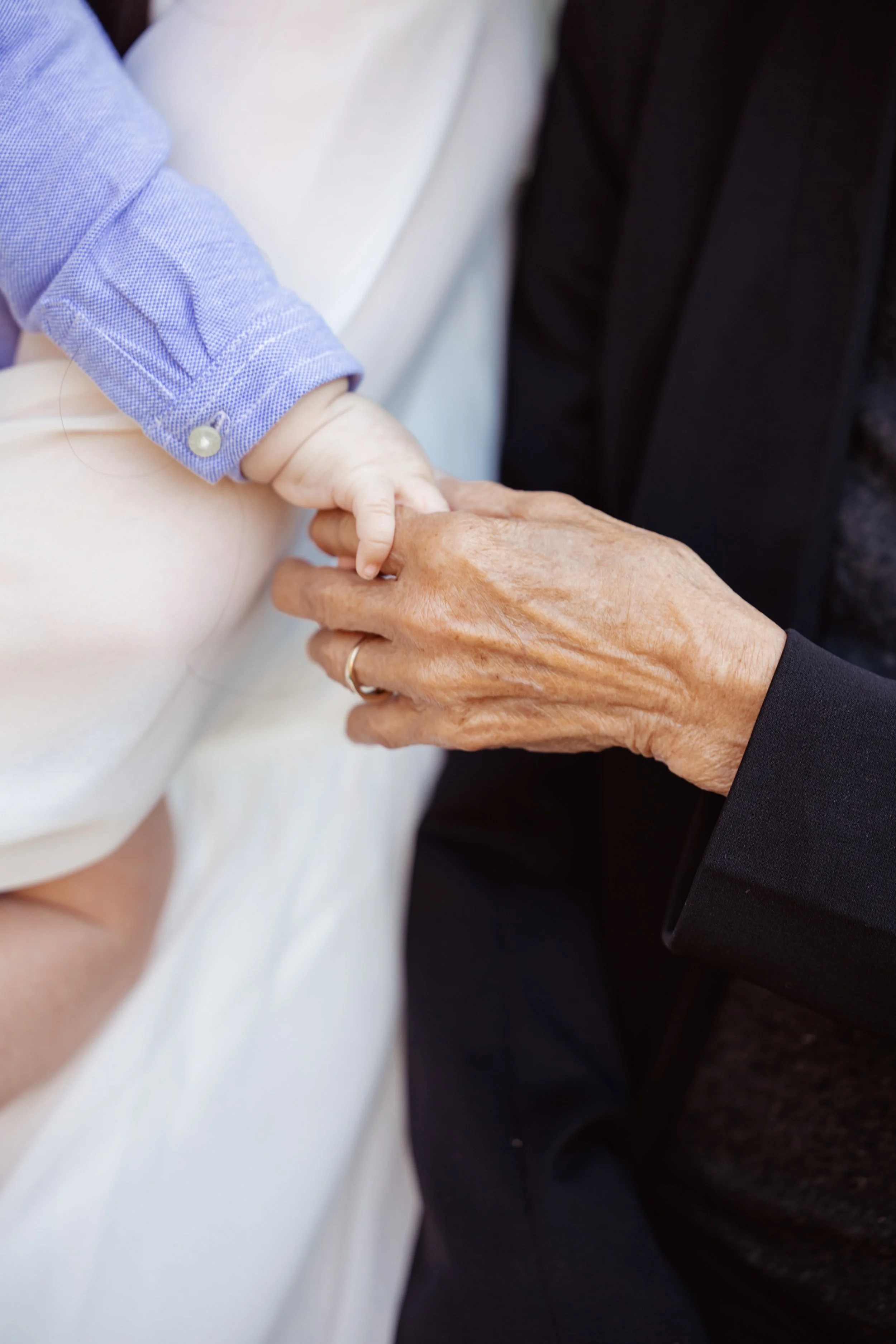 pasadena family photographers (21).jpg