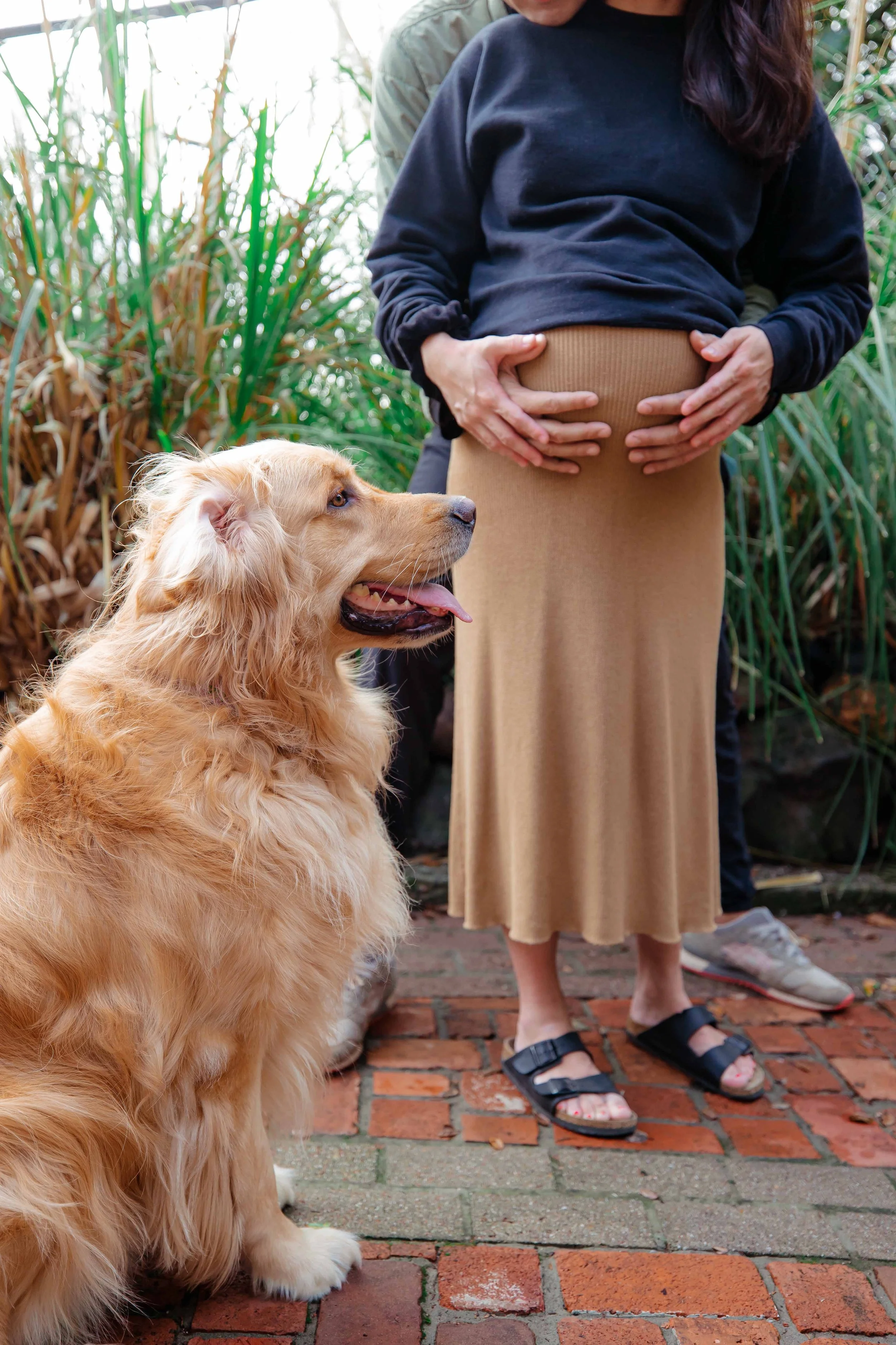 san francisco family photography (13).jpg