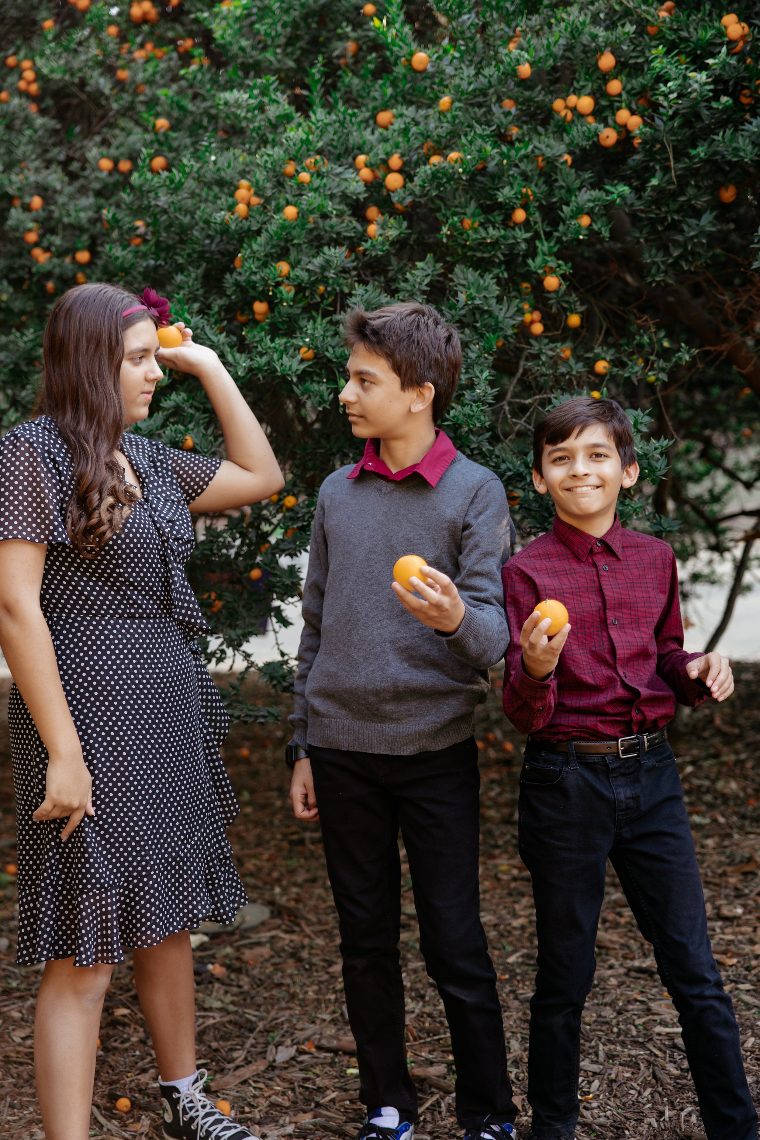 arboretum arcadia family photography (9).jpg