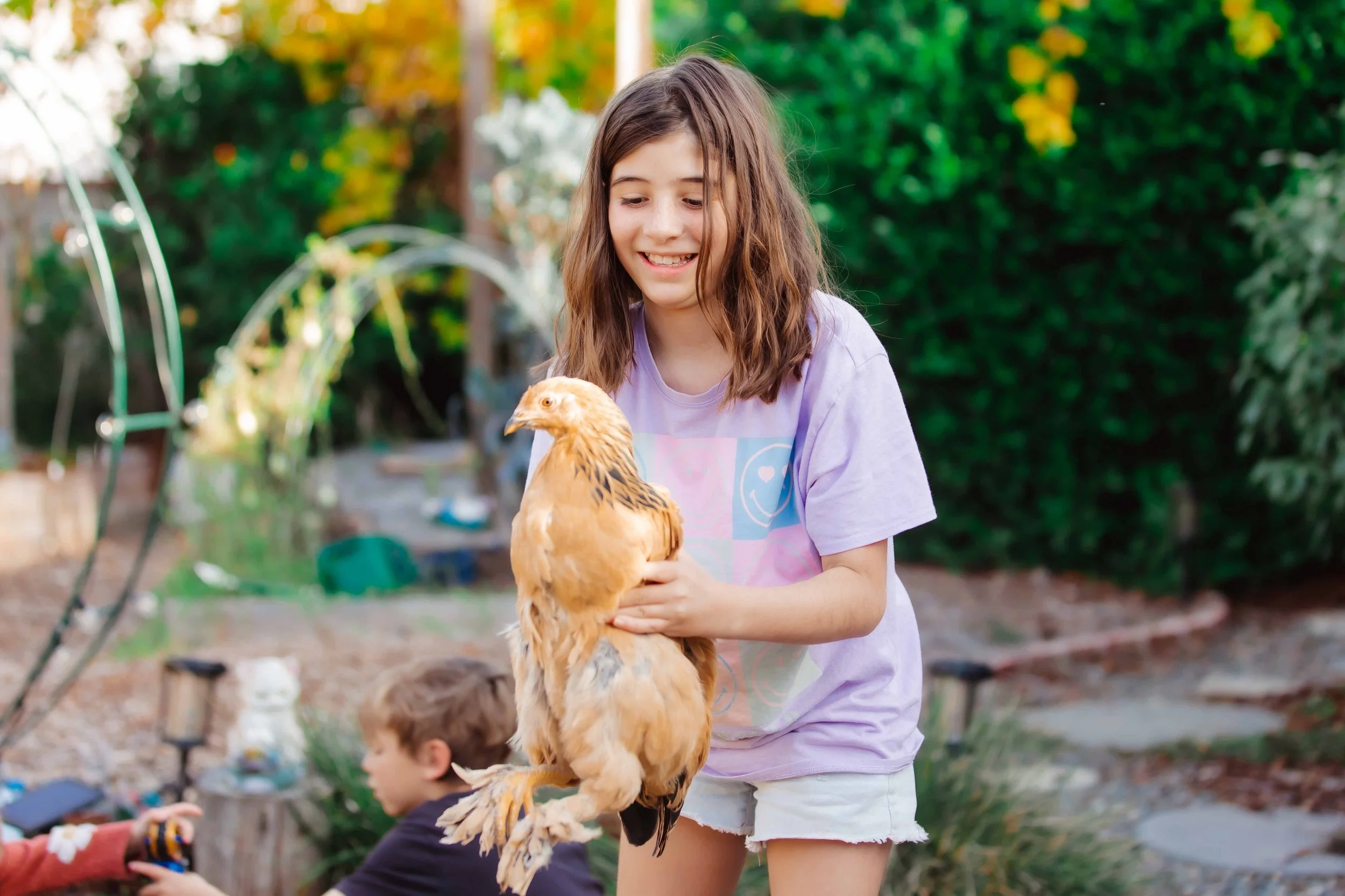 A girl in a purple shirt and white shorts holding a chicken in her hands outside in a garden with two boys sitting nearby.