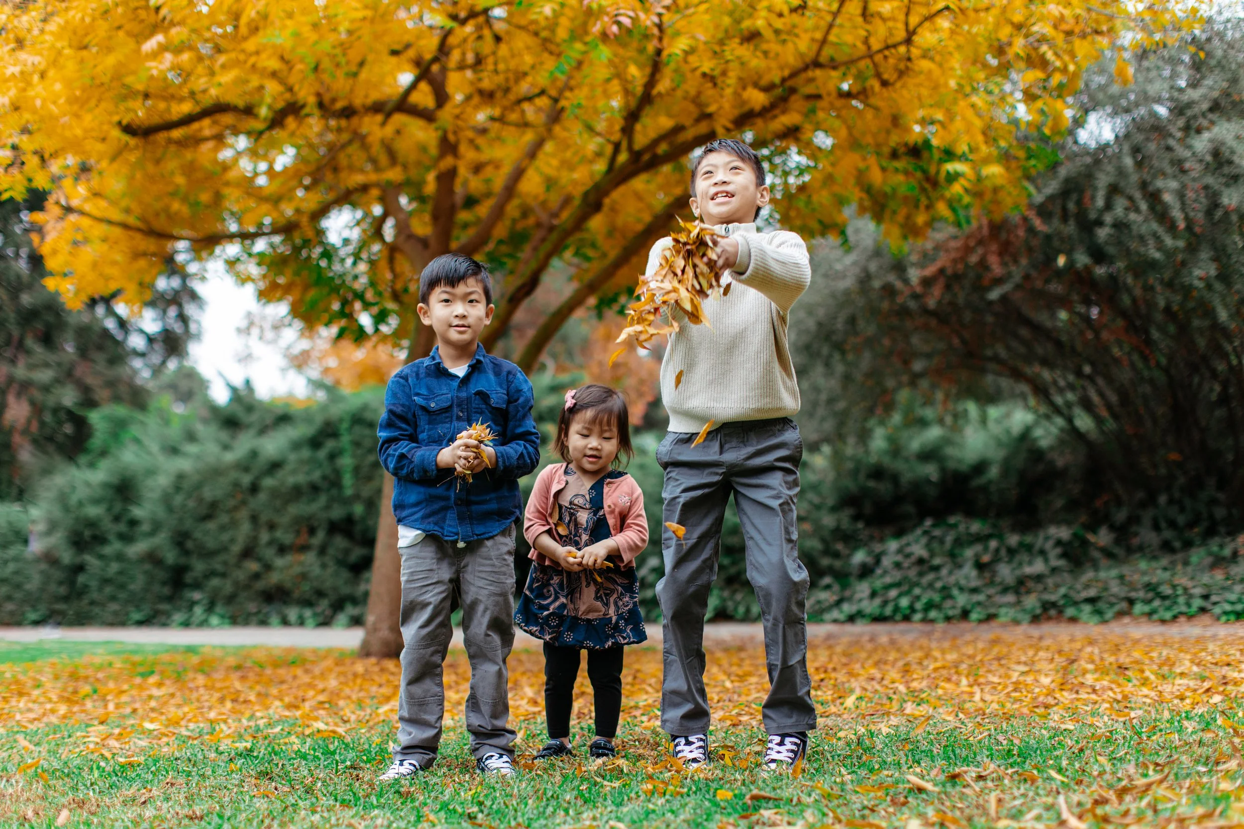 lacy park family photography (10).jpg