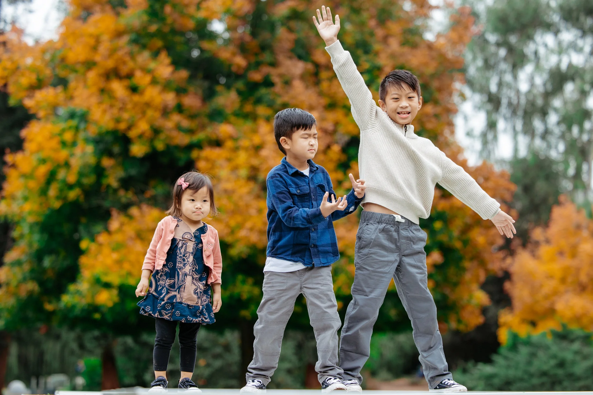 lacy park family photography (18).jpg