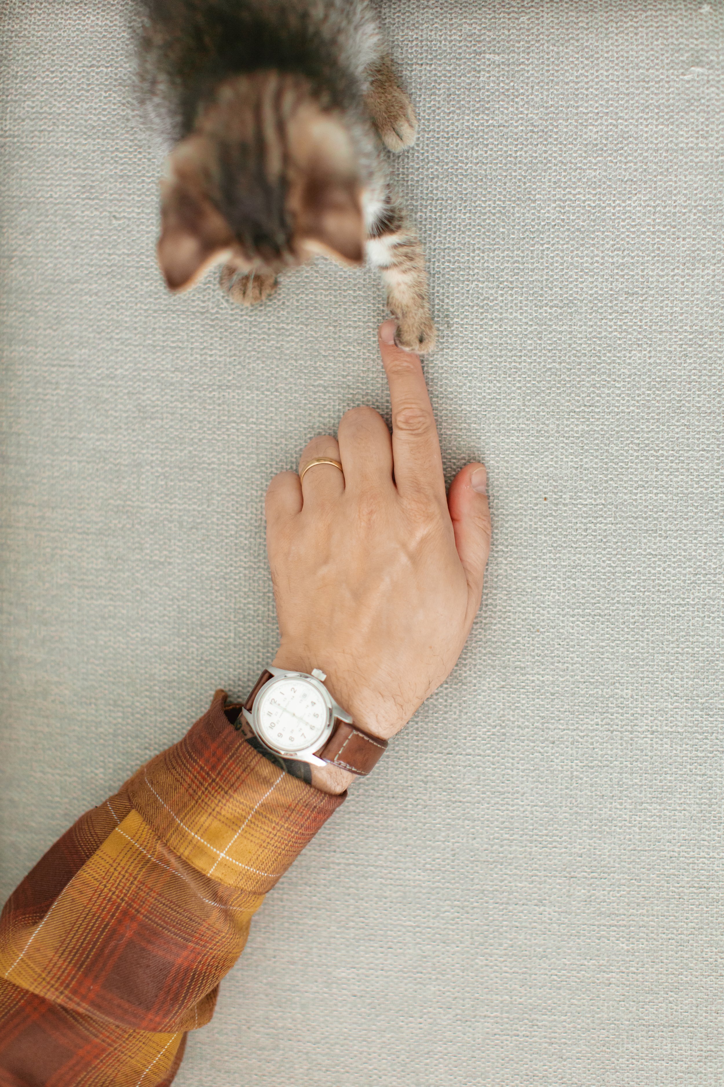 pasadena maternity photography (2).jpg