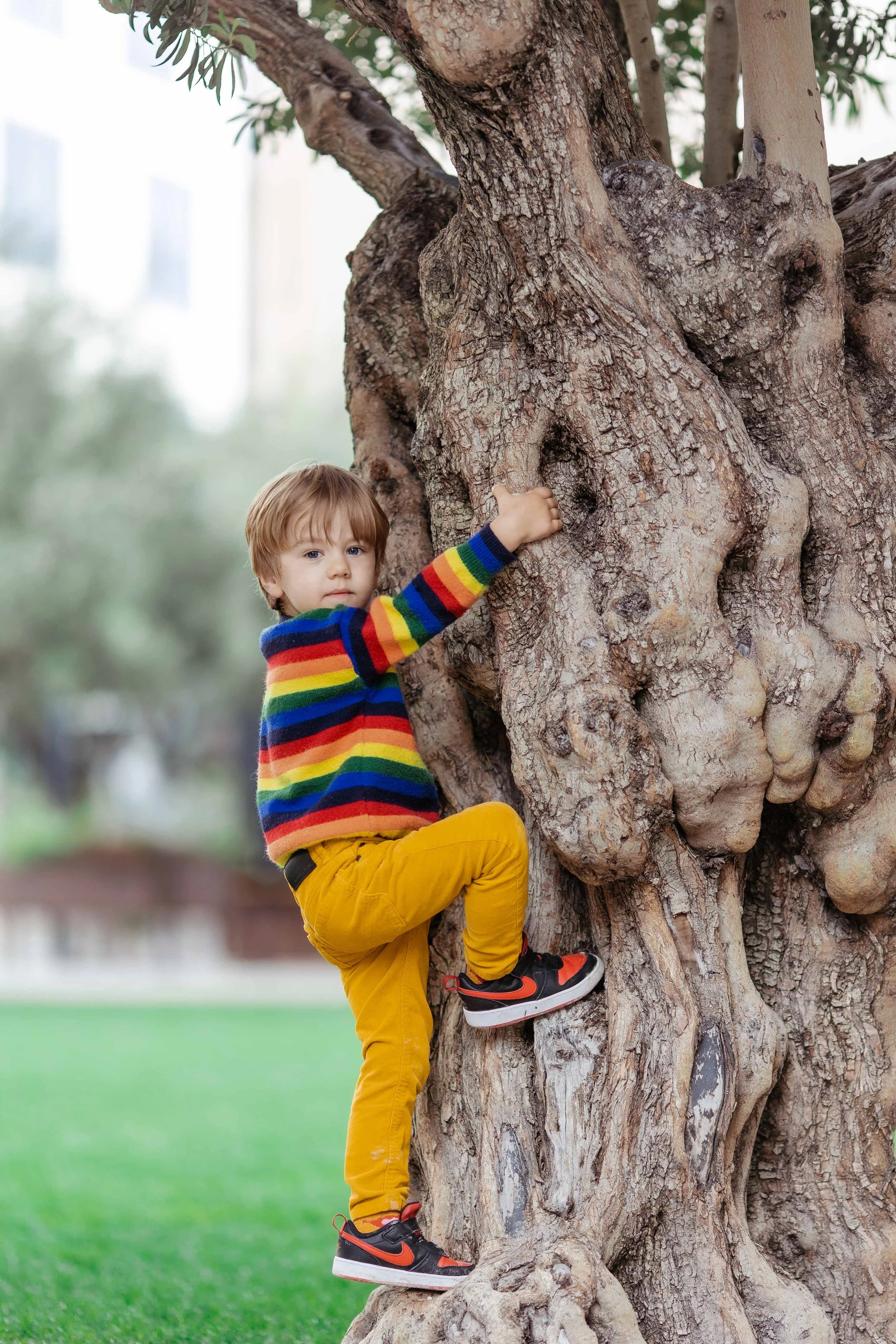 los angeles family photograph - subpage (25).jpg