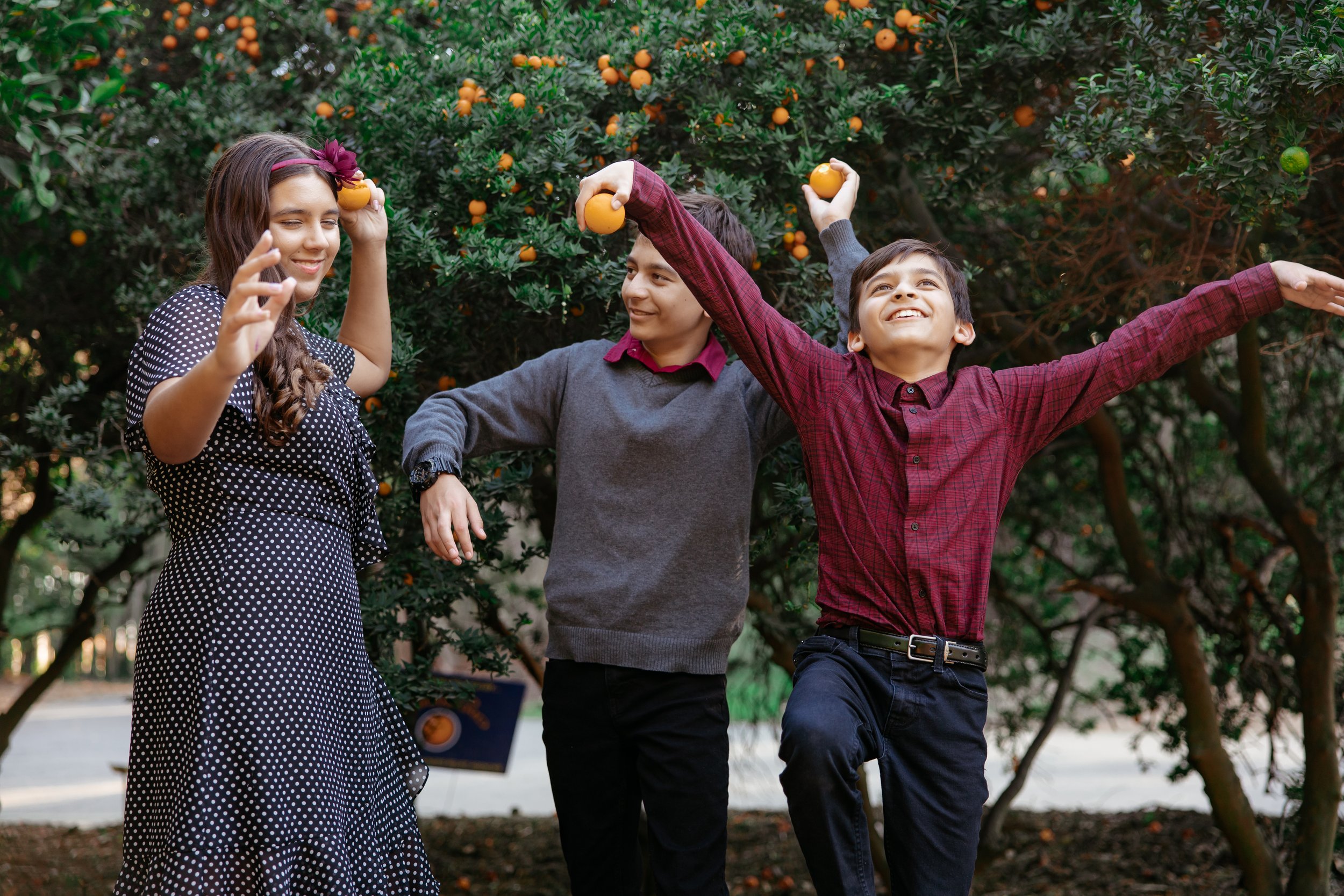 arboretum arcadia family photography (11).jpg