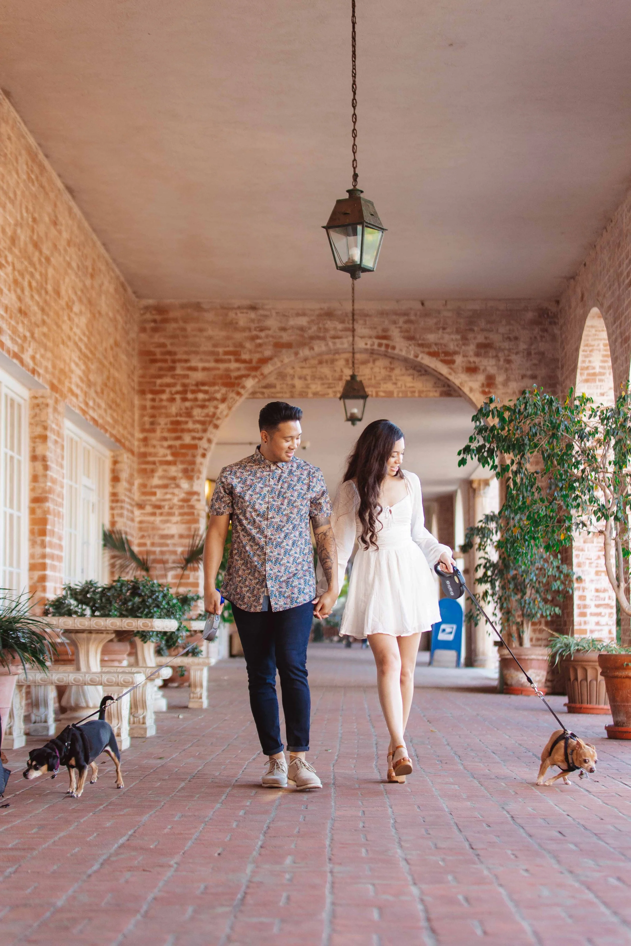 A couple walks hand-in-hand on a brick sidewalk, each walking a small dog on a leash. The woman is wearing a white dress and brown sandals, while the man is dressed casually in a patterned shirt and dark pants. They are smiling at each other and are 