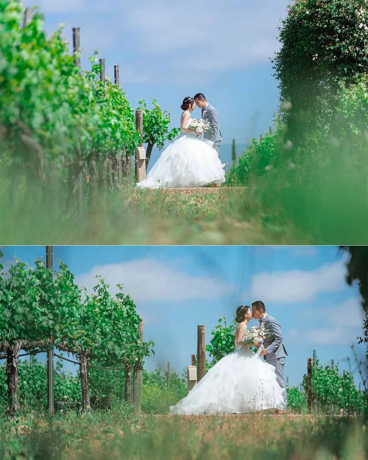 ponte winery wedding photography - subpage (9).jpg