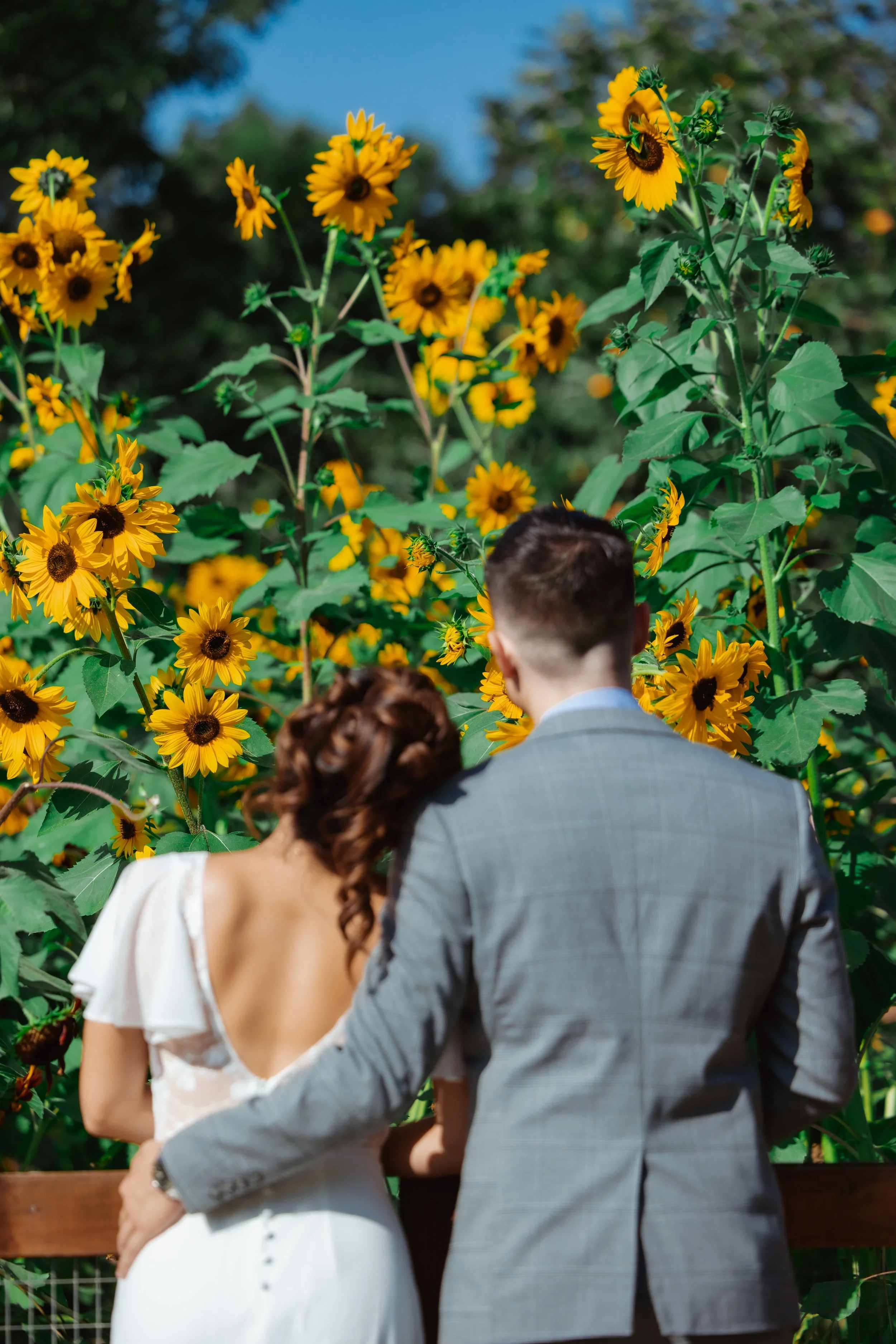 Arboretum Fullerton engagement photography (35).jpg