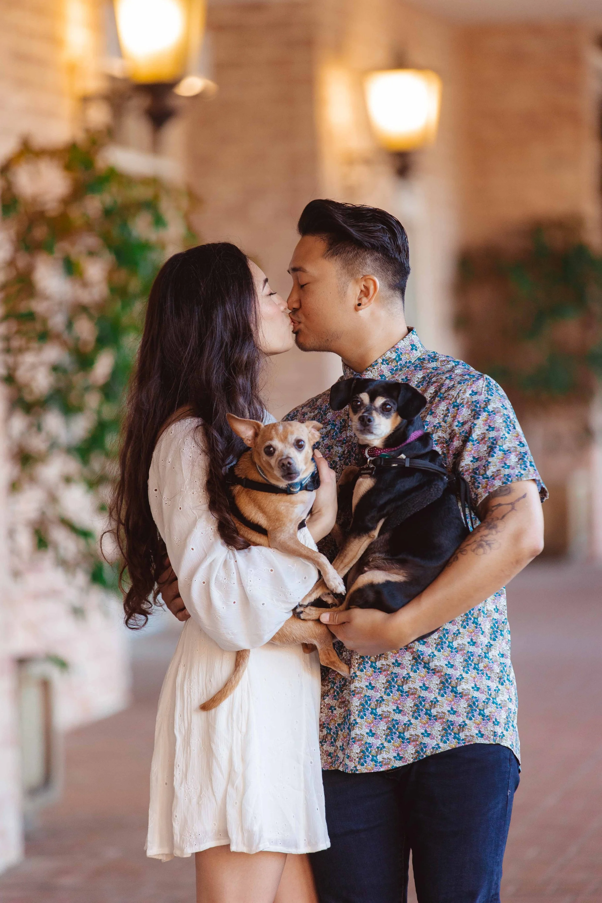 A couple with two small dogs sharing a kiss indoors with warm lighting.