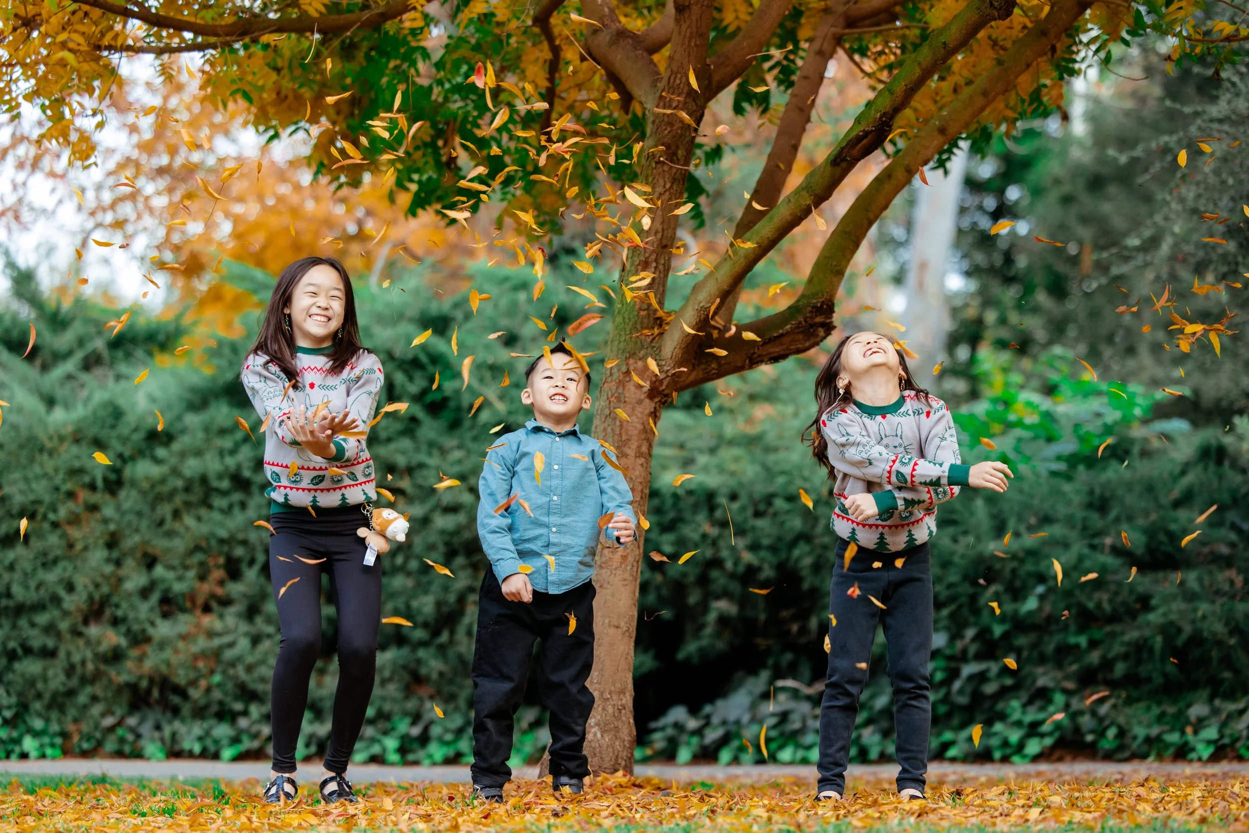 lacy park family photographers (3).jpg