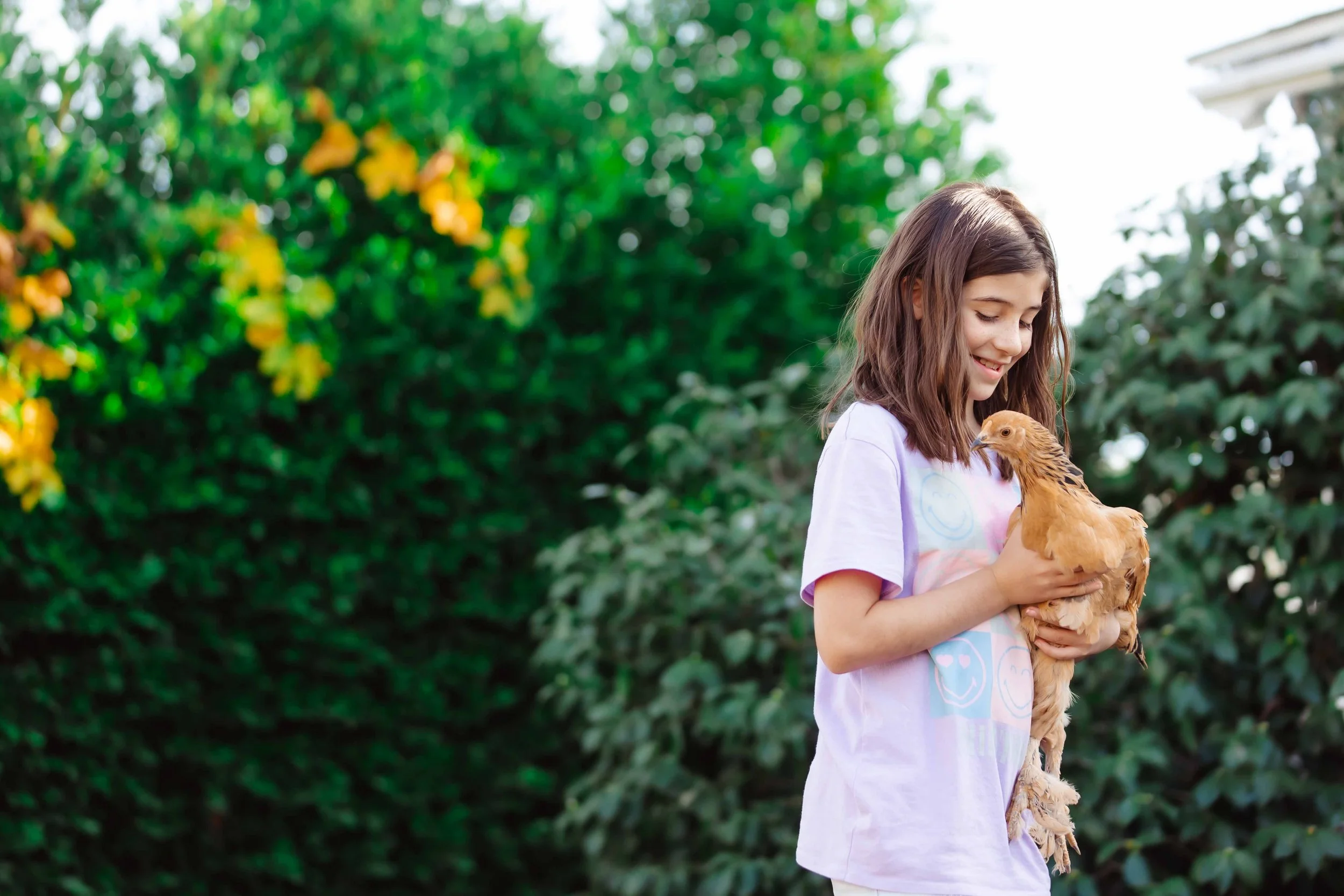 A young girl with shoulder-length brown hair holds a tan chicken outdoors surrounded by lush green bushes.