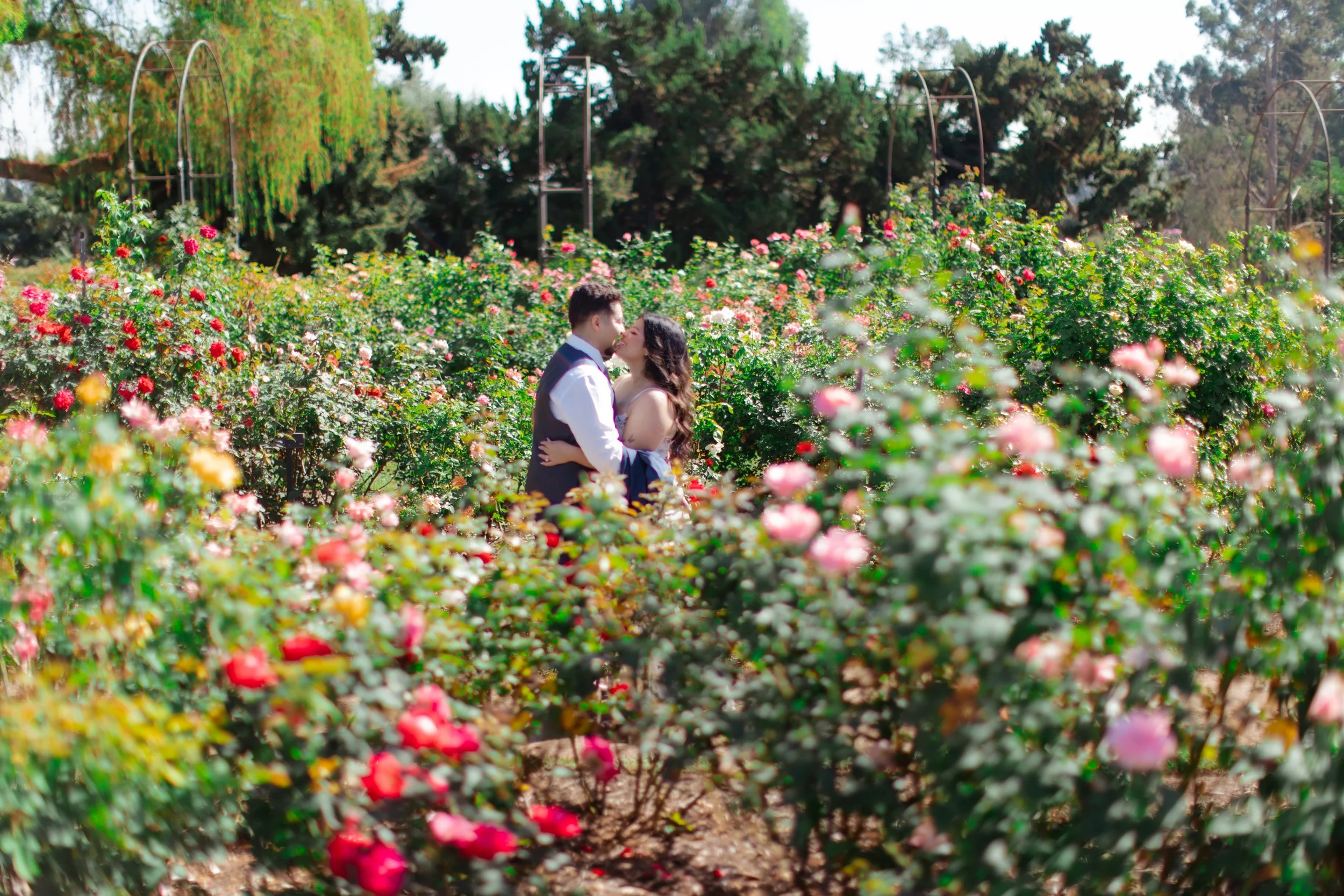 huntington library engagement photographers (25).jpg