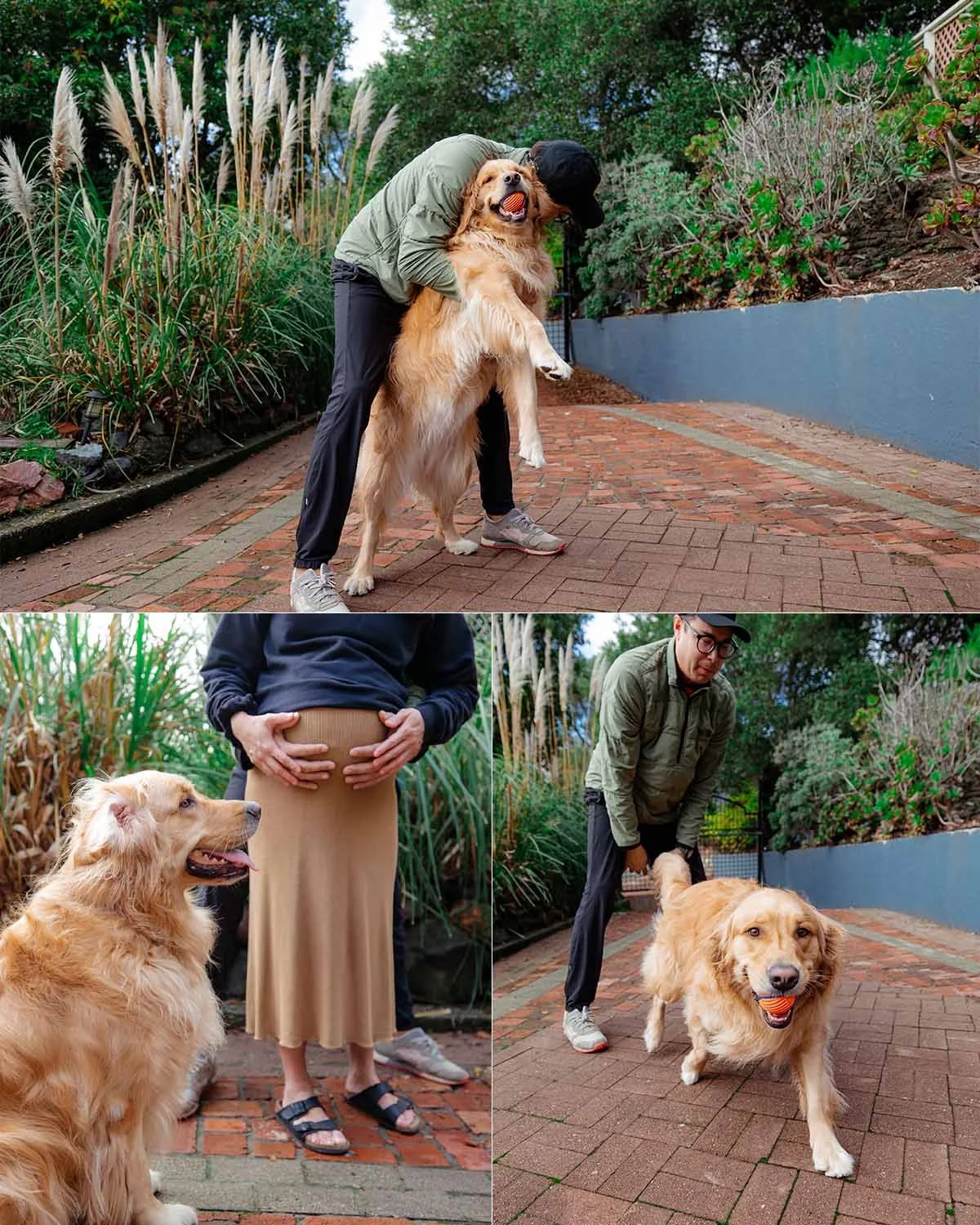 san francisco family photography (2).jpg