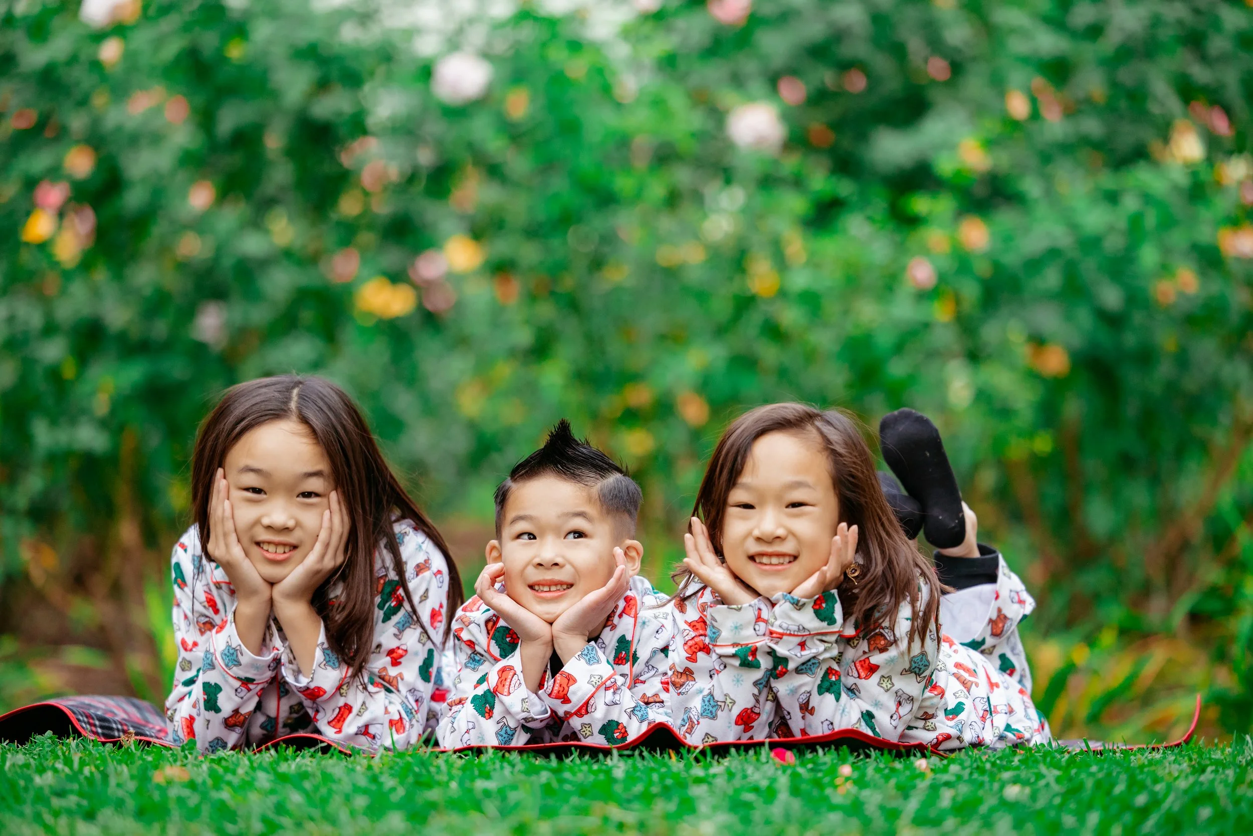 lacy park family photographers (13).jpg