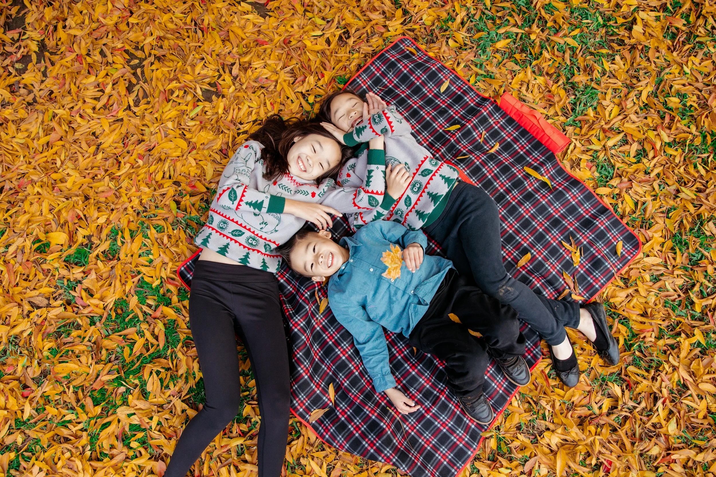 lacy park family photographers (9).jpg