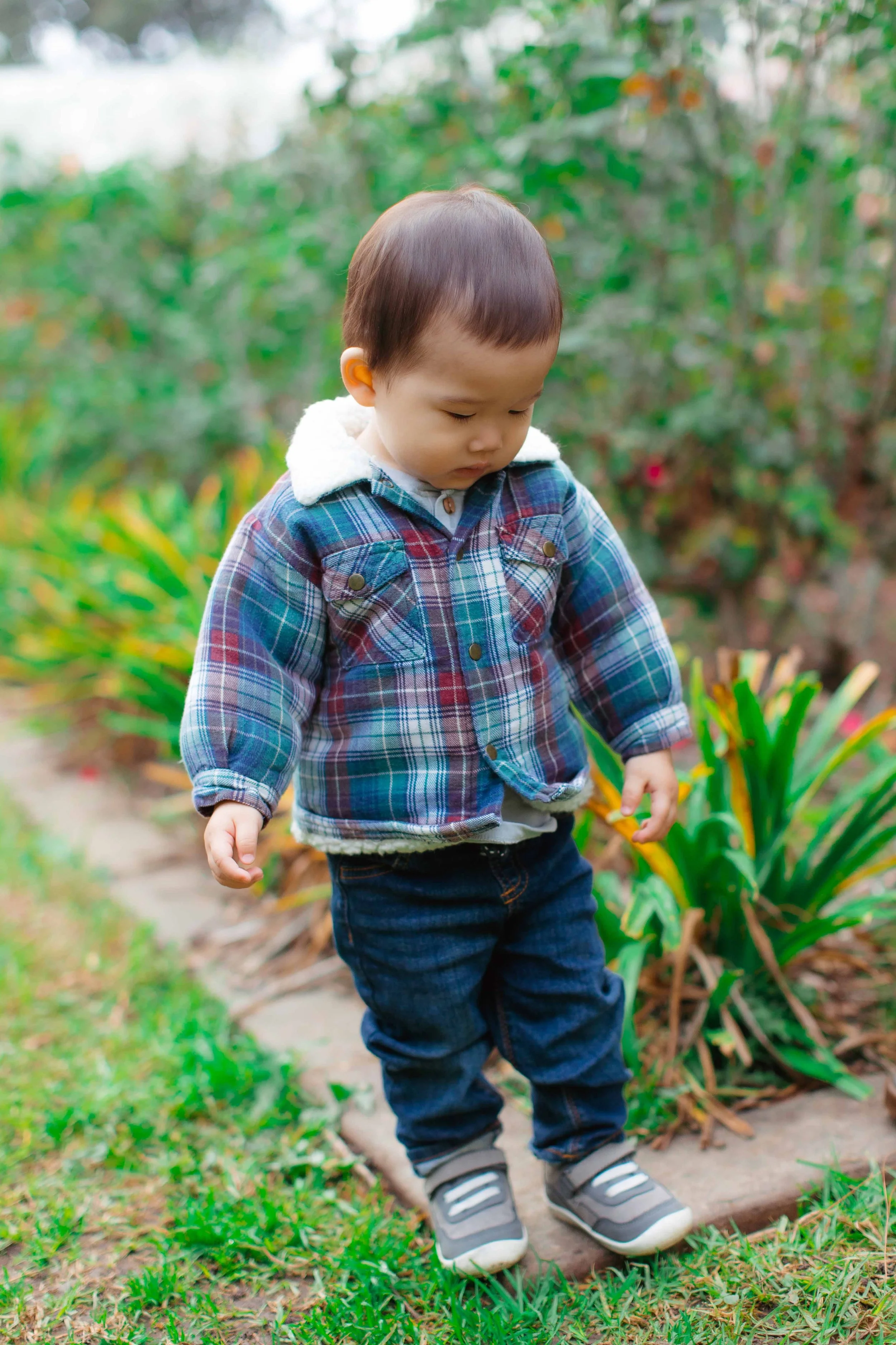 A young boy wearing a plaid jacket, jeans, and sneakers walking in a garden or park.