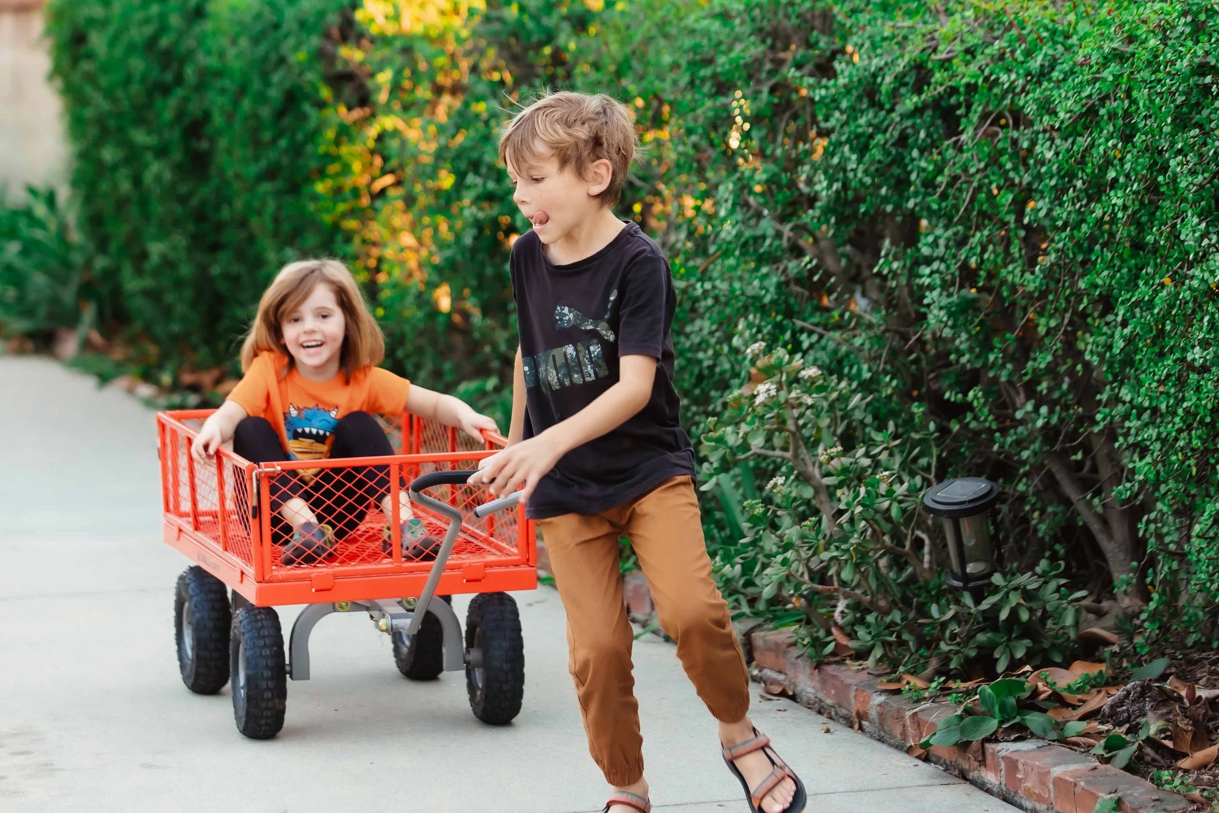 A young girl sitting in a red wagon being pulled by a boy on a sidewalk next to green bushes.