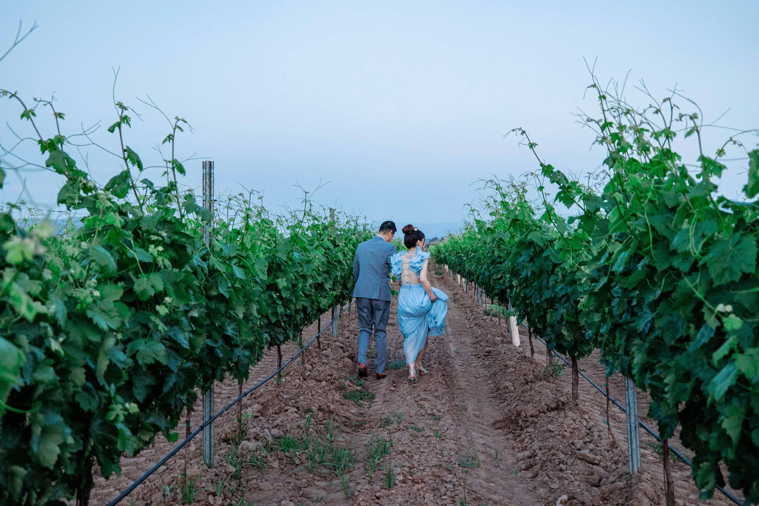 ponte winery wedding photography - subpage (63).jpg