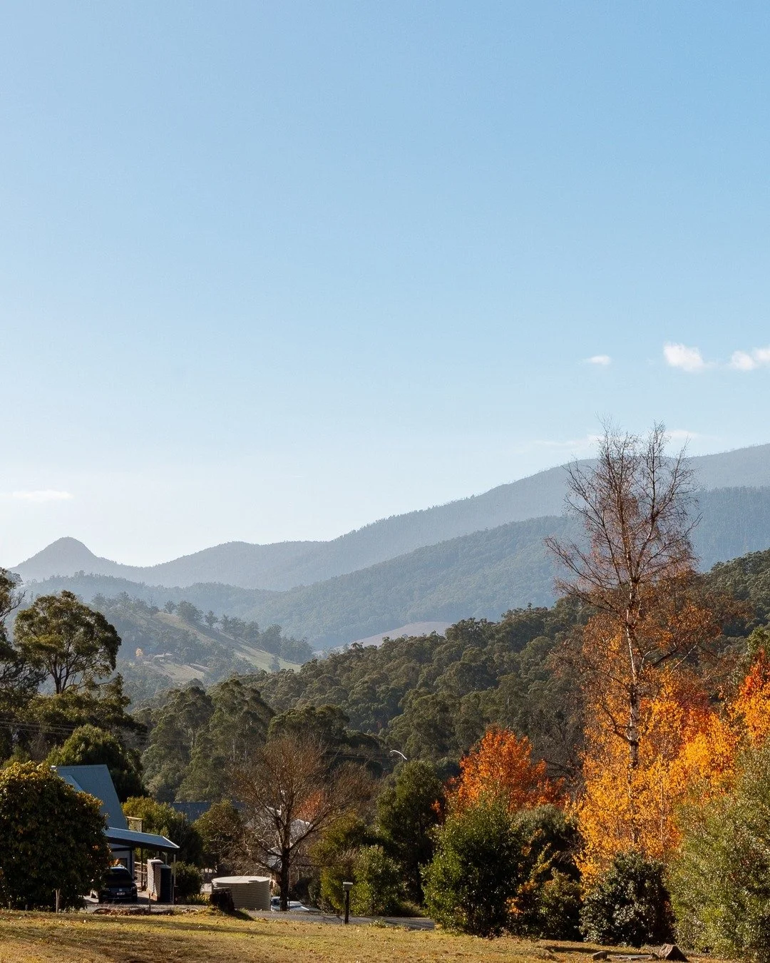 A beautiful town to add to your itinerary during your stay with us - Marysville! 🏔️

Marysville is known for its stunning waterfalls, scenic walking trails, cosy cafes and warm country hospitality. The perfect town for a day trip - just a beautiful 