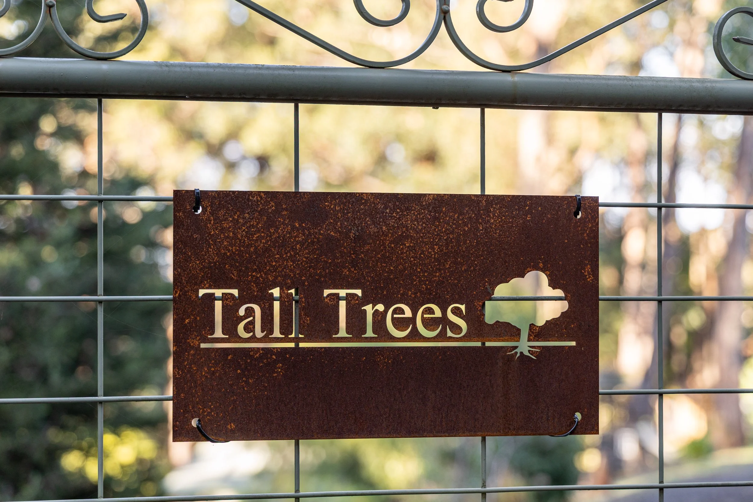 Tall Trees-22.jpg
