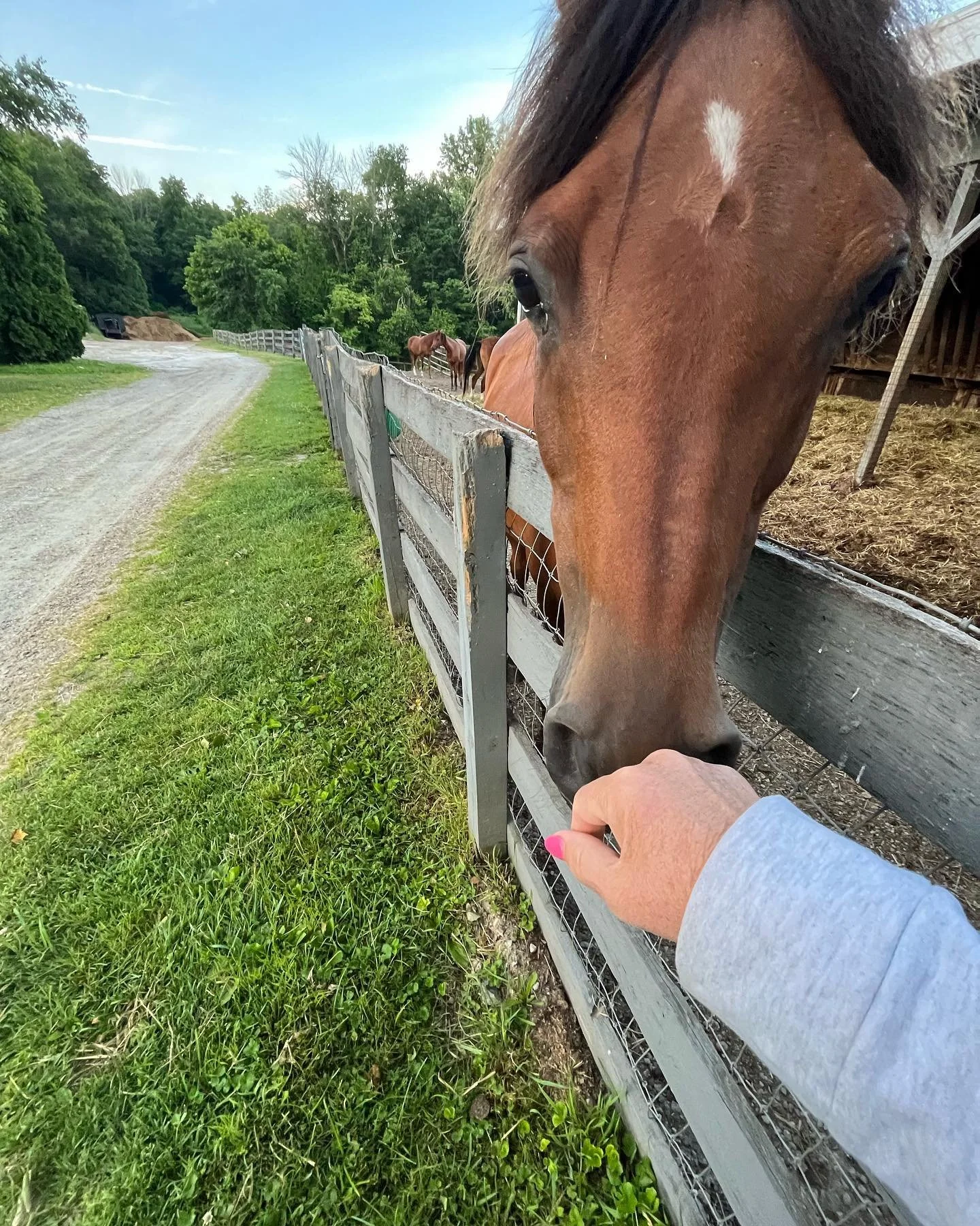 Where Do you find your spirit?
Share a pic!