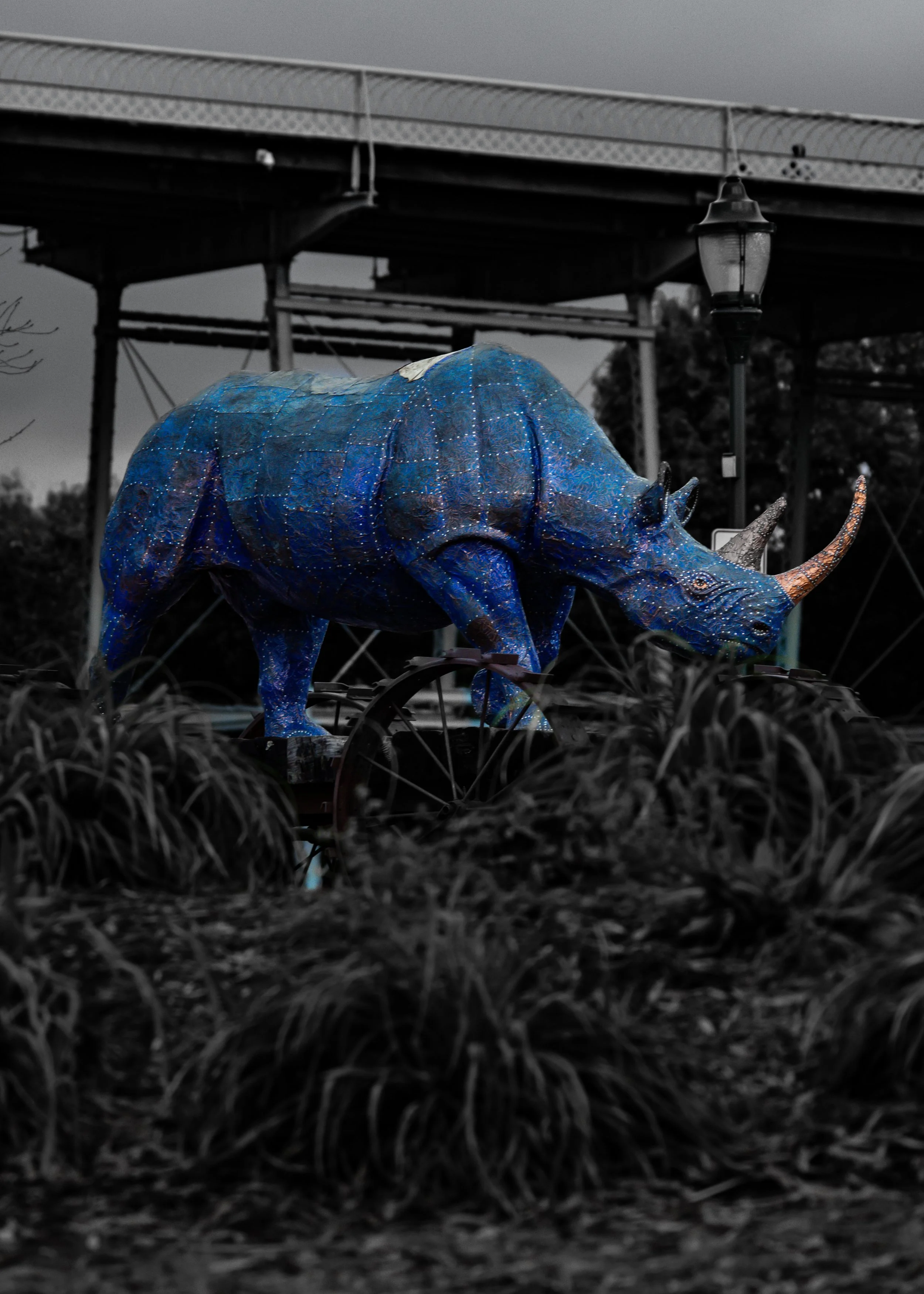 Blue Rhino Print