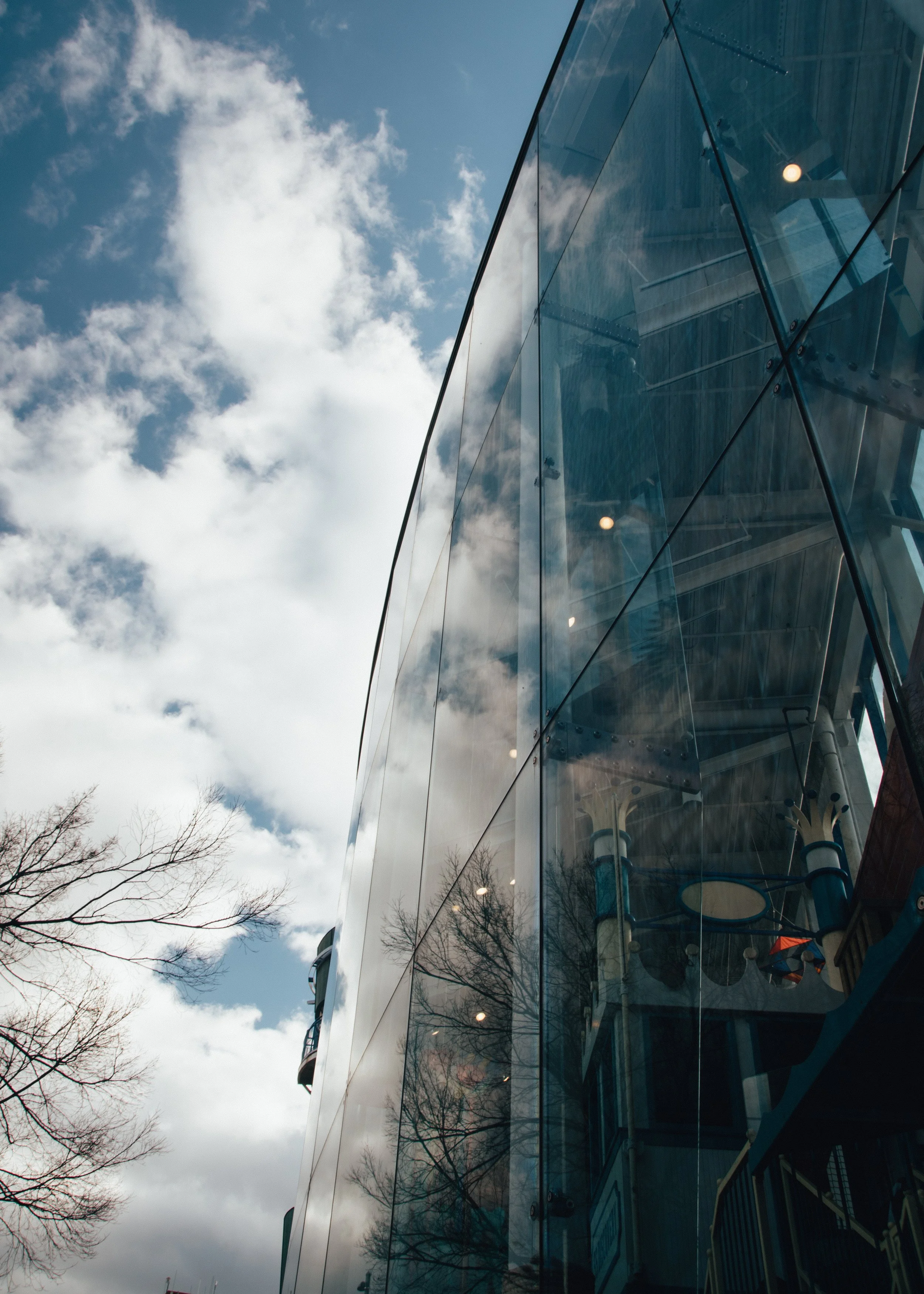Reflections Print